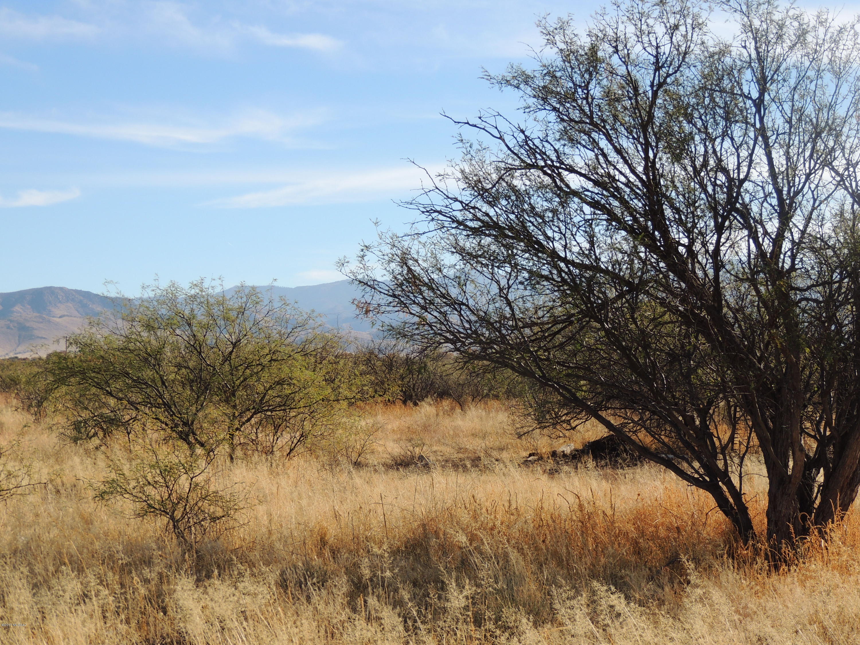 Out Of Pima County - Land