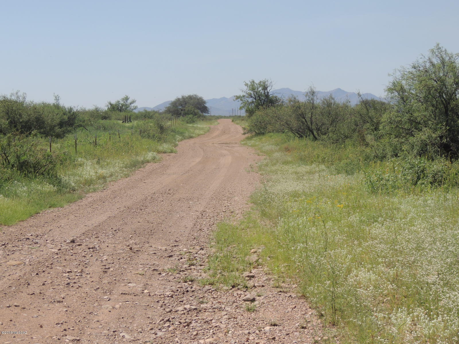 Out Of Pima County - Land