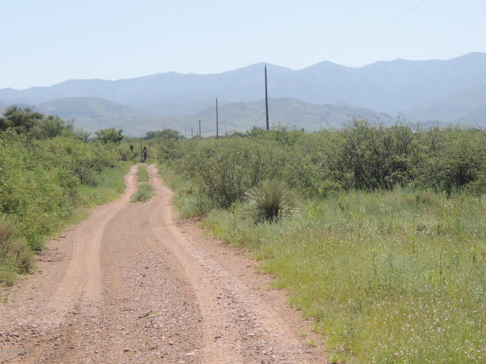 Out Of Pima County - Land