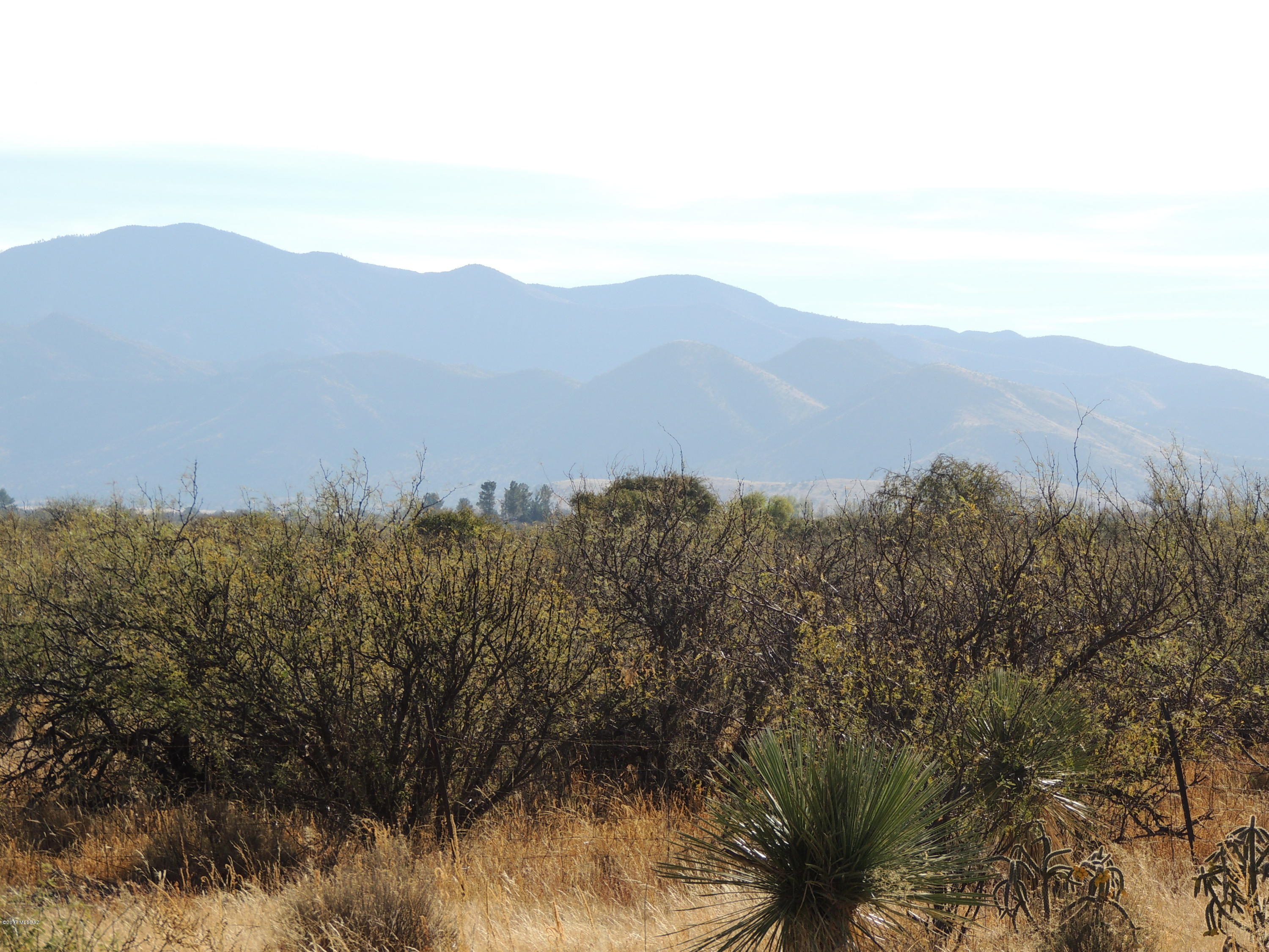Out Of Pima County - Land