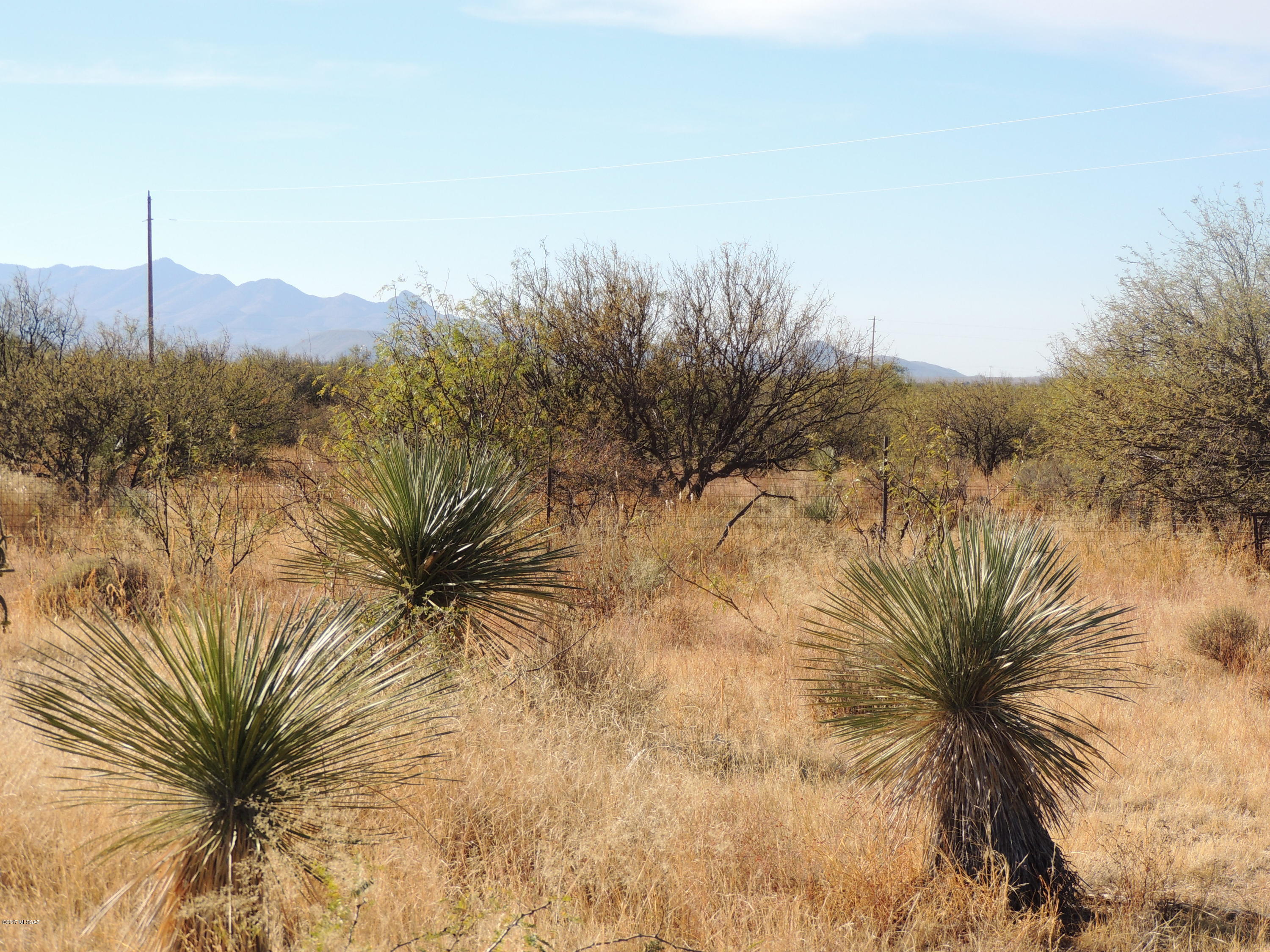 Out Of Pima County - Land