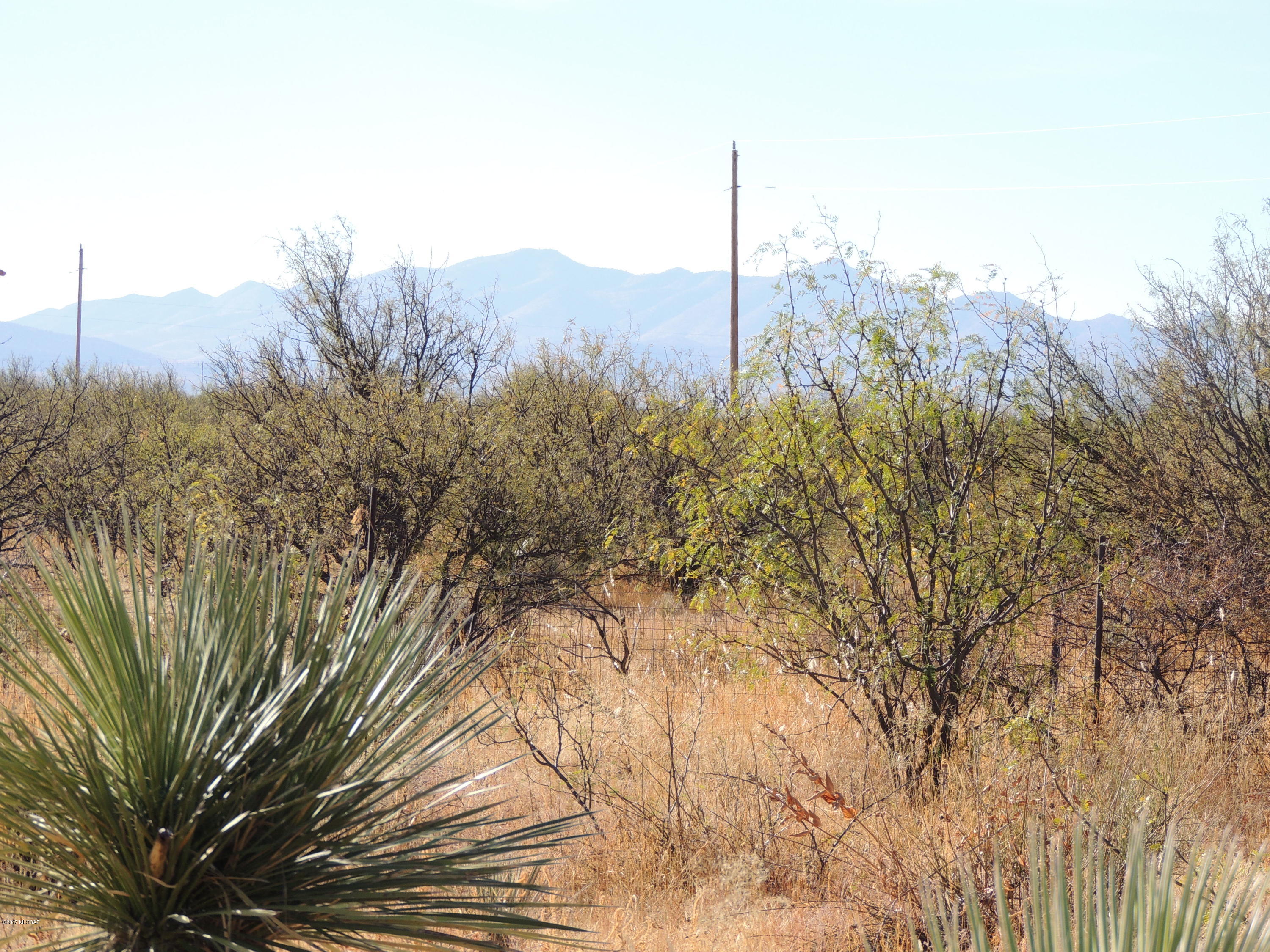 Out Of Pima County - Land