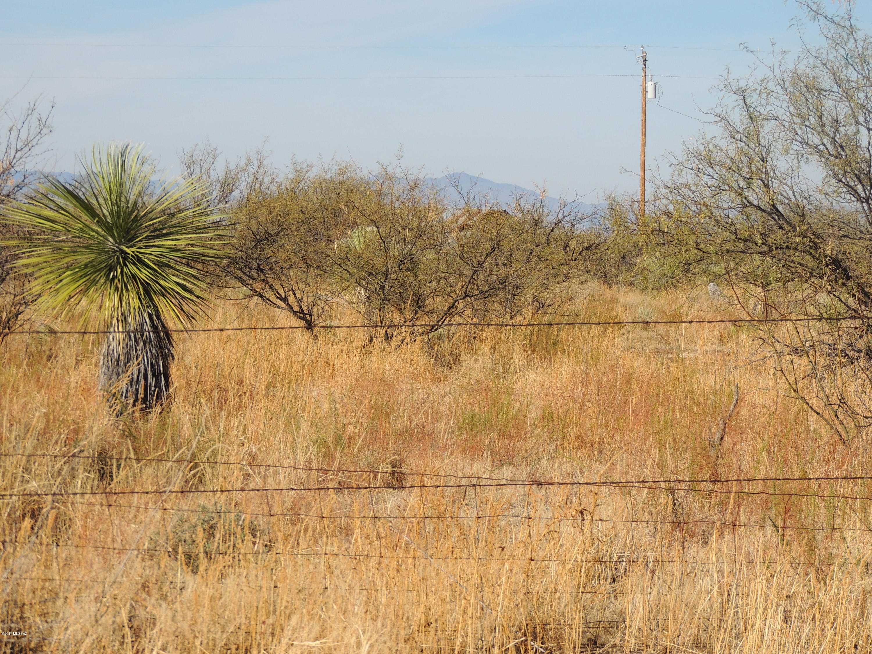 Out Of Pima County - Land