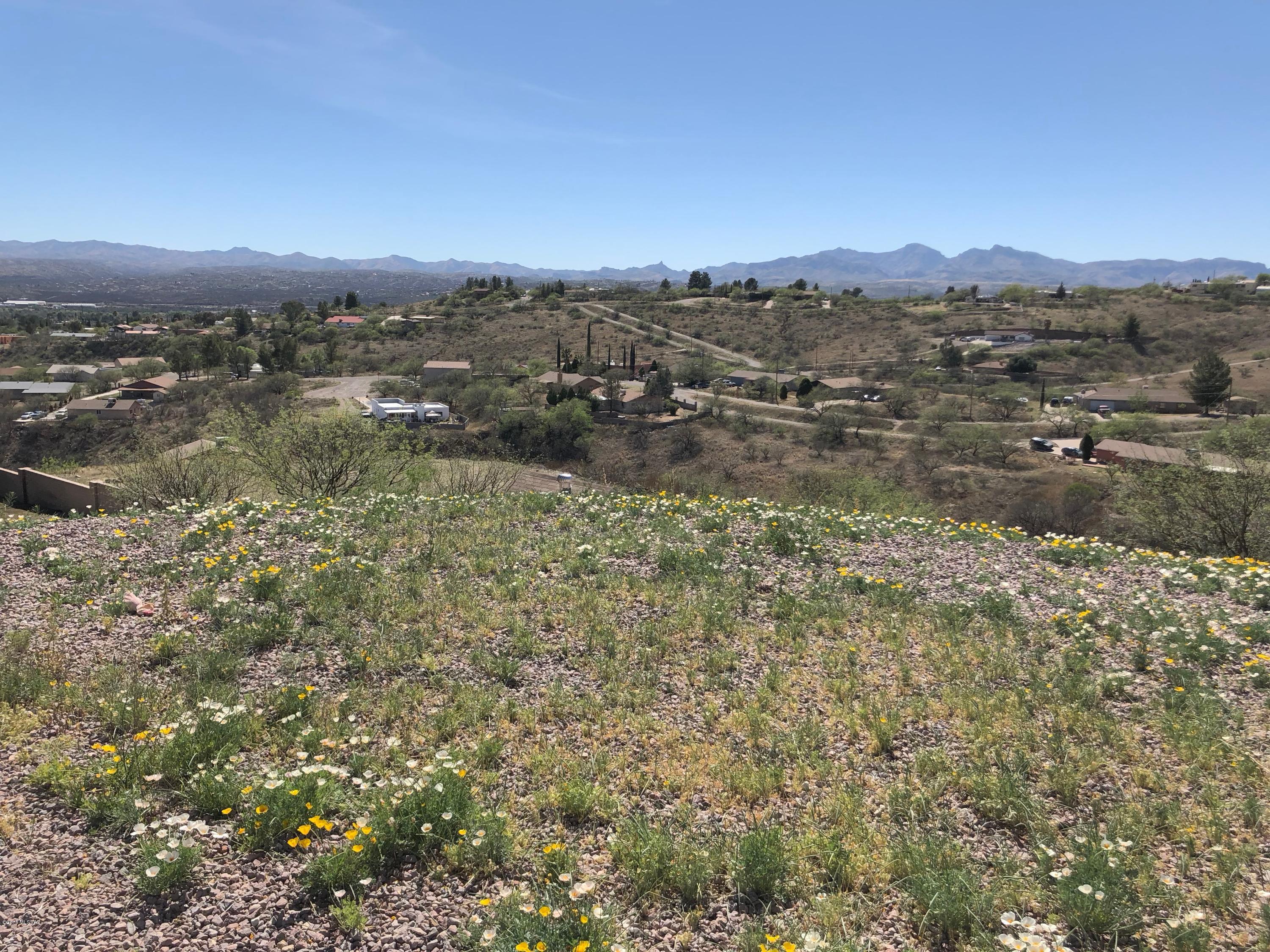 Rio Rico Estates 3 - Residential