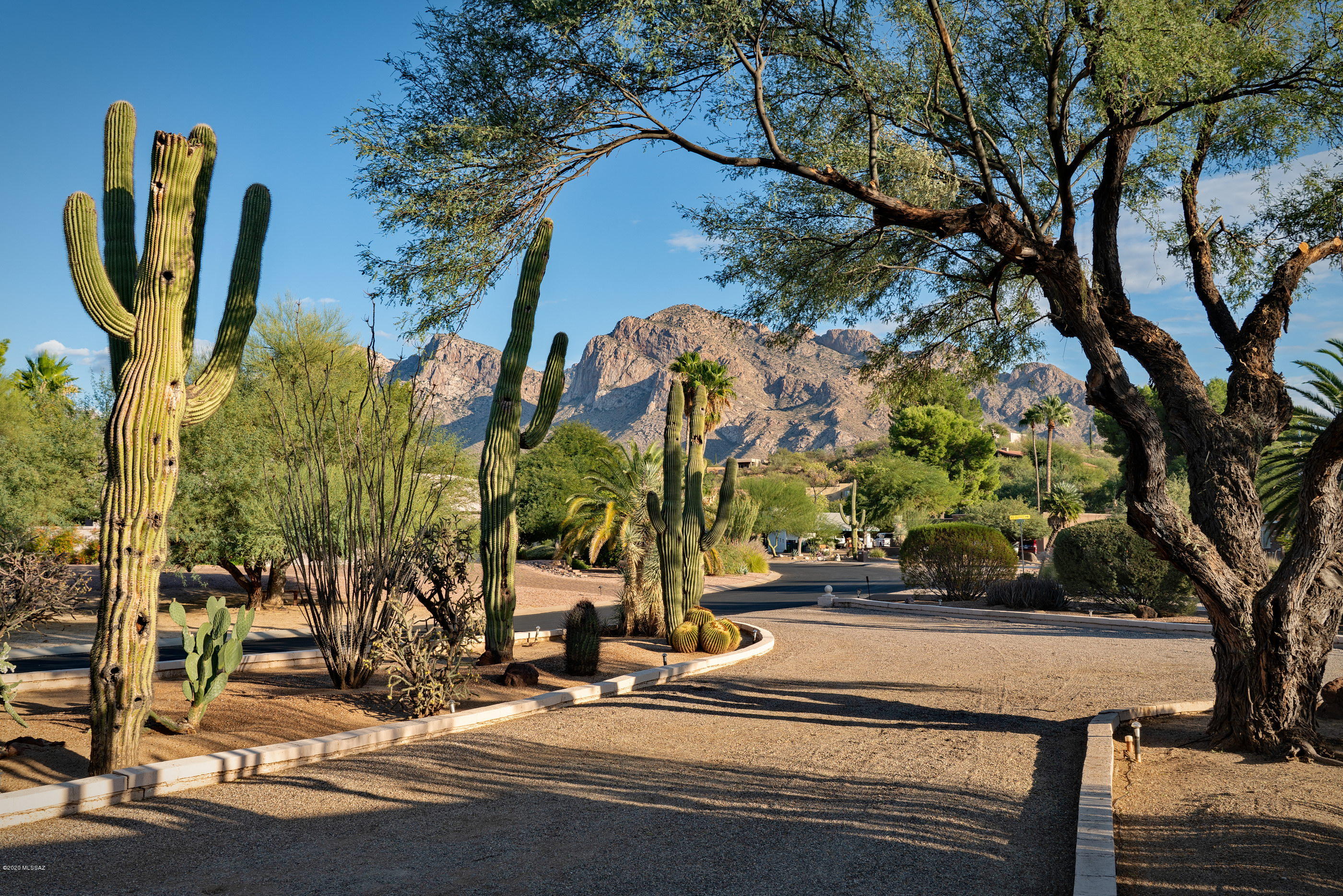 Oro Valley Estates - Residential