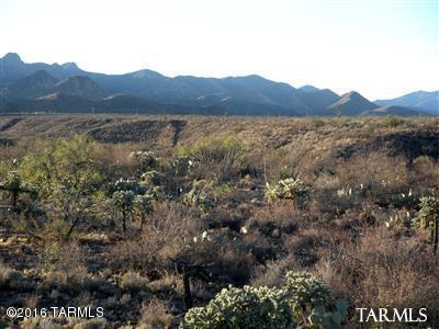 Sycamore Canyon (1-485) - Land