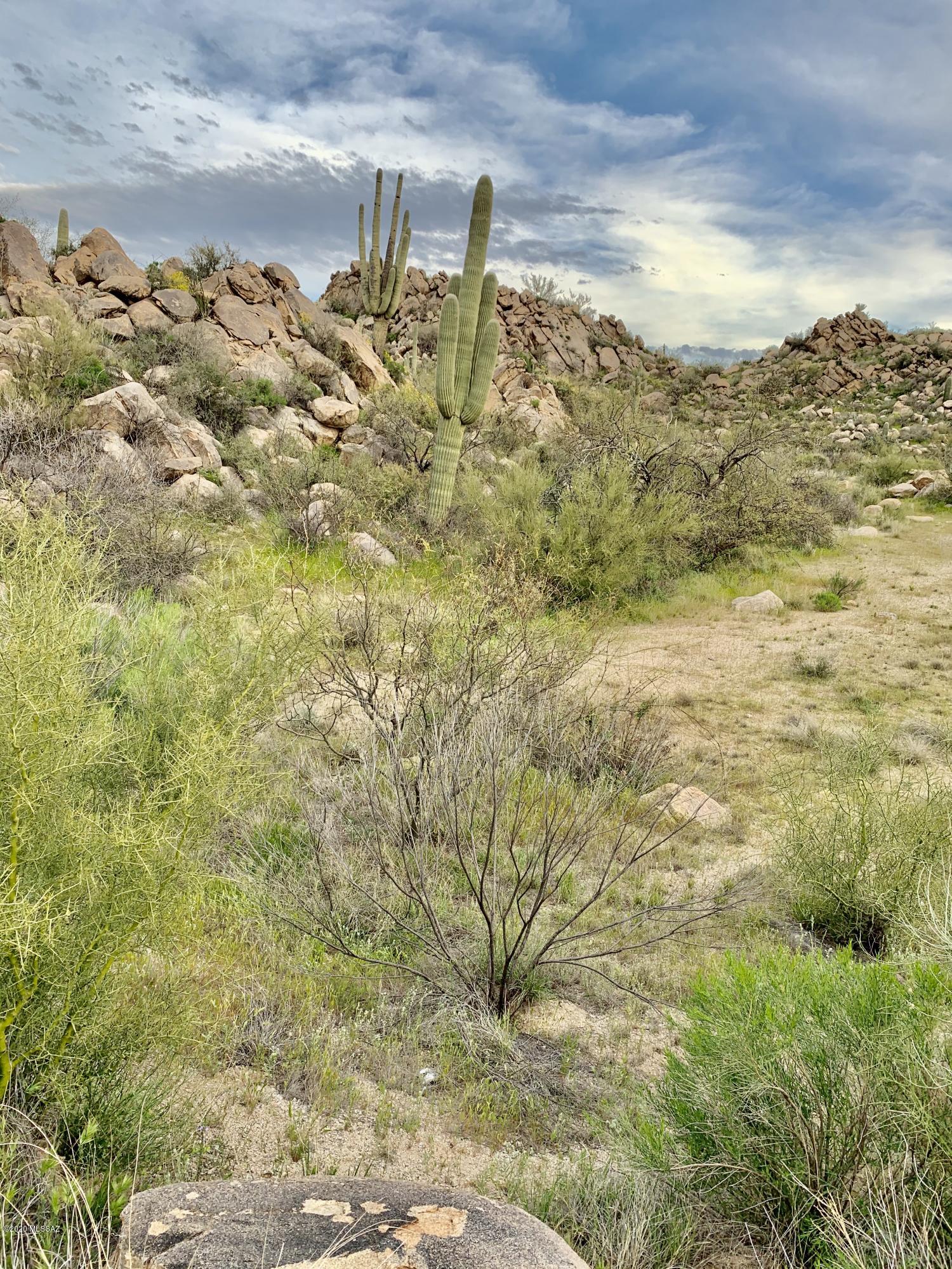 Beautiful long range views of the tortolita mountains. absolutely beautiful golf and Catalina view.  Flat easy build - endless design options.  Stunning surroundings of rock outcropping, saguaros and lush desert.   Belong to one of Arizona's finest golf clubs and enjoy the country club lifestyle along with a climate you can enjoy year round.  Phenomenal amenities such as Swim Tennis and Sports Facility & First-Class Clubhouse.