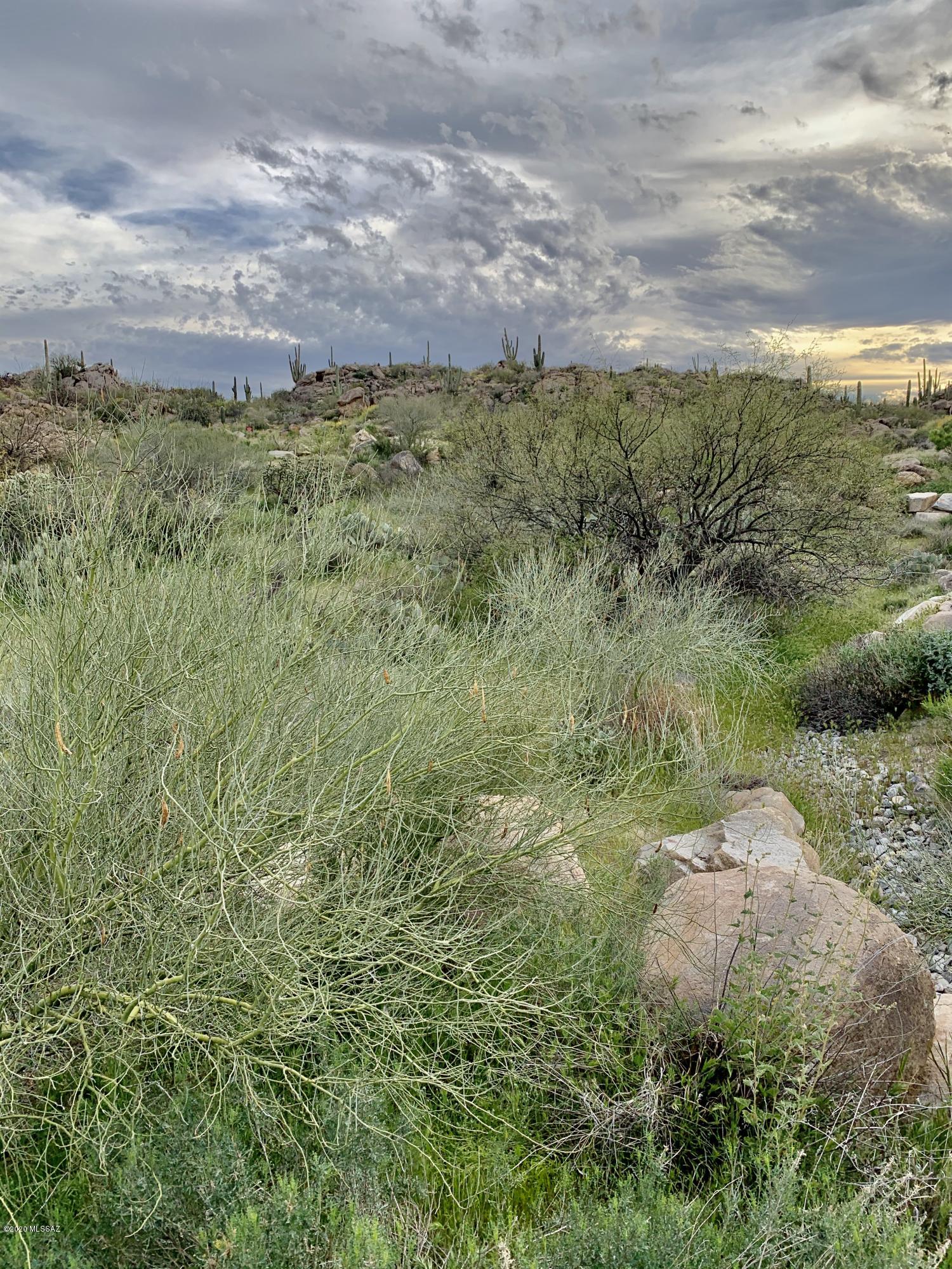 Stone Canyon IV - Land