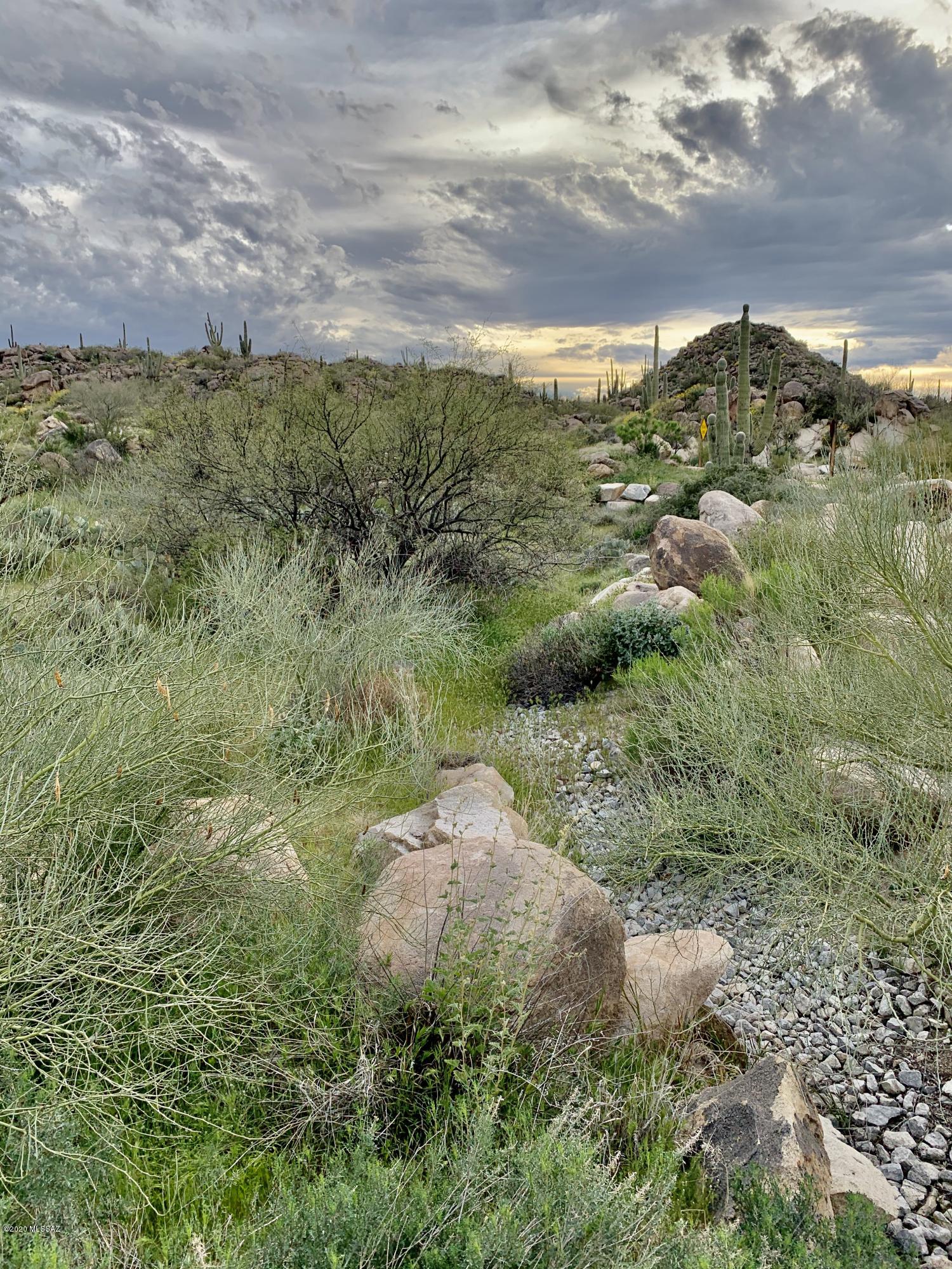 Stone Canyon IV - Land
