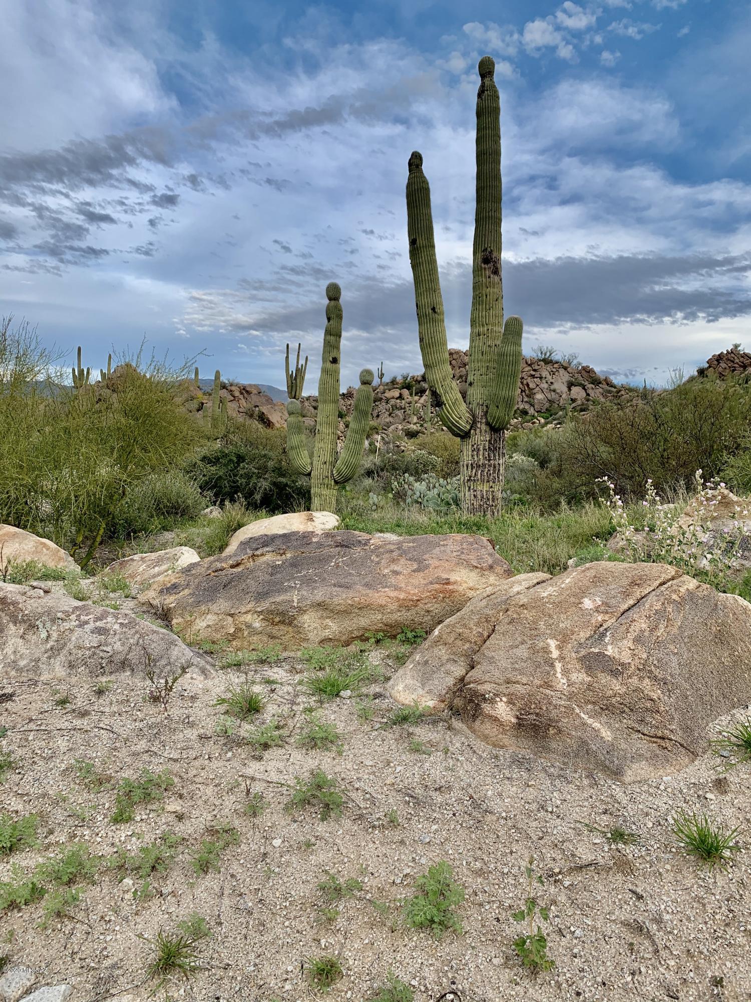 Stone Canyon IV - Land
