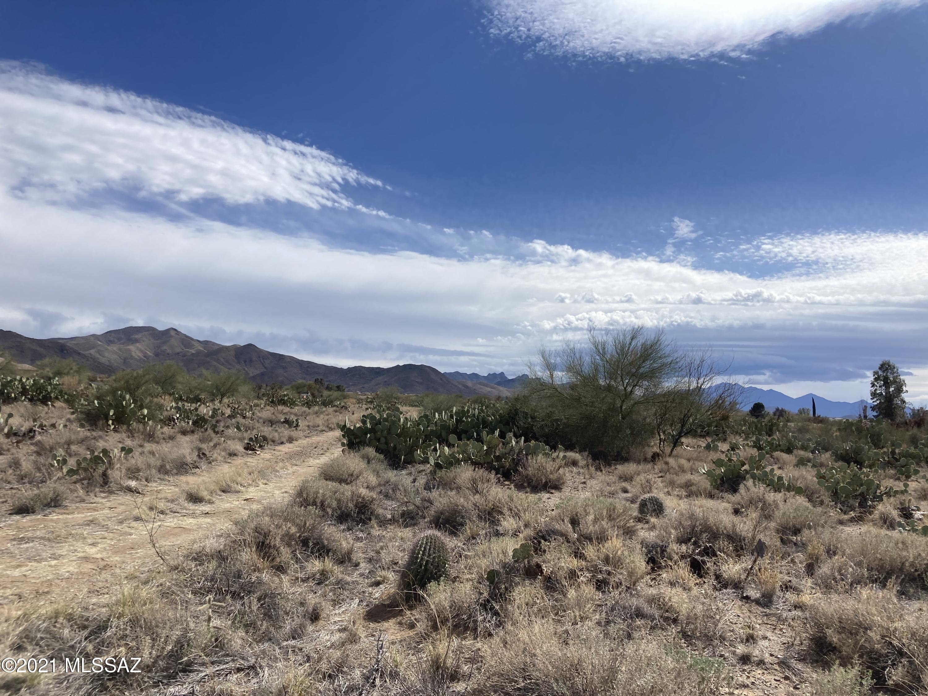 New Tucson Unit NO. 4 (1-203) - Land
