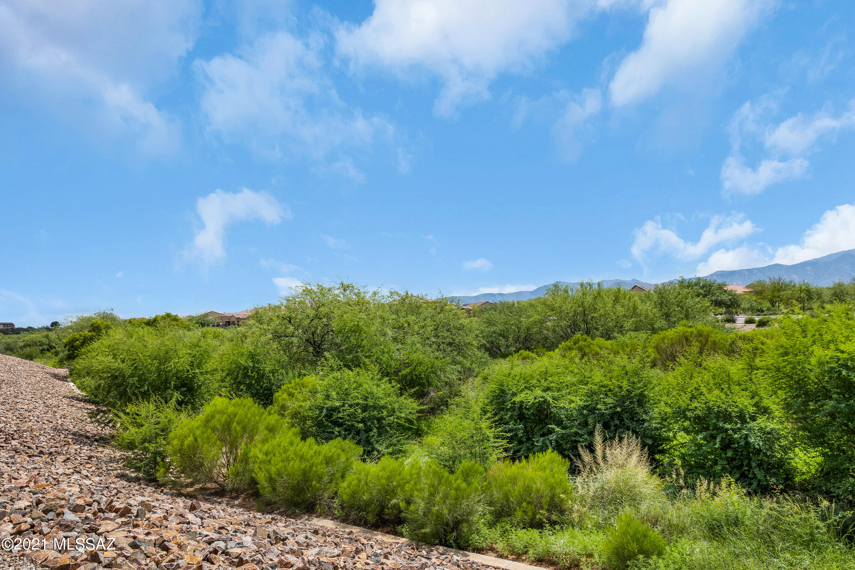 Saddlebrooke Ranch - Residential