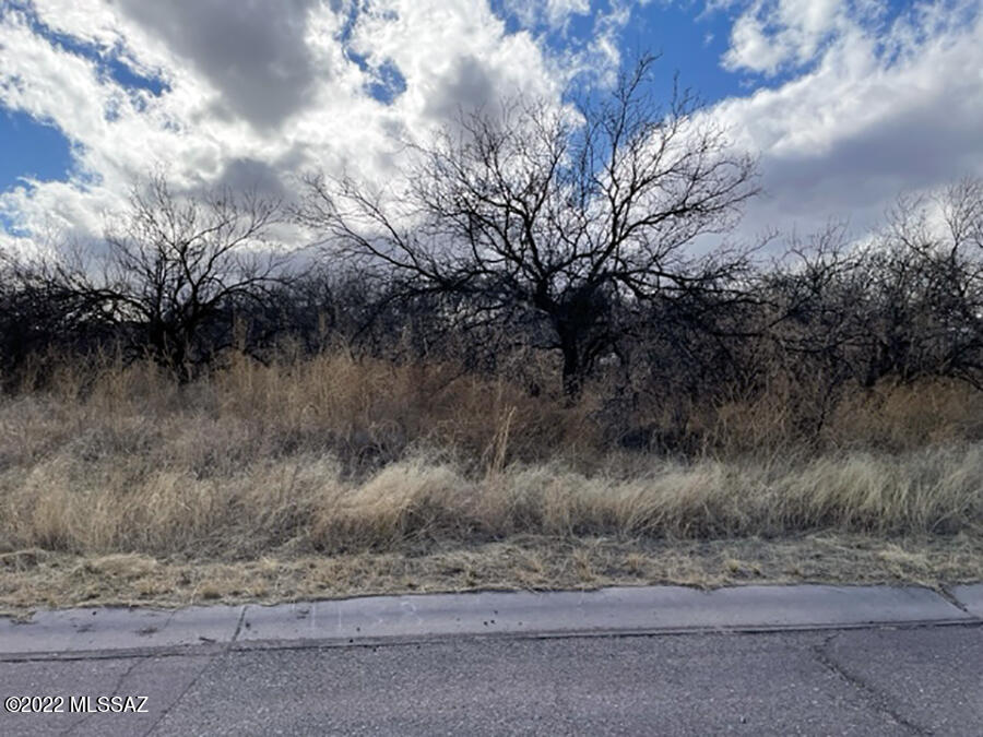 West Rio Rico business zone vacant land available!  Easy access, level and buildable lot for your business needs in the growing community.