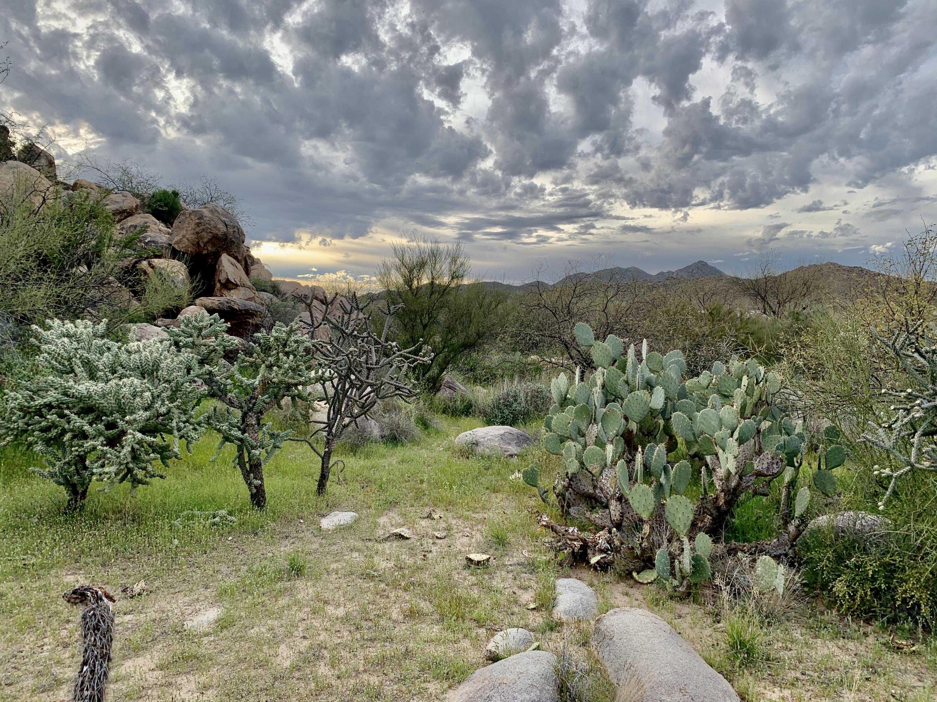 Stone Canyon IV - Land