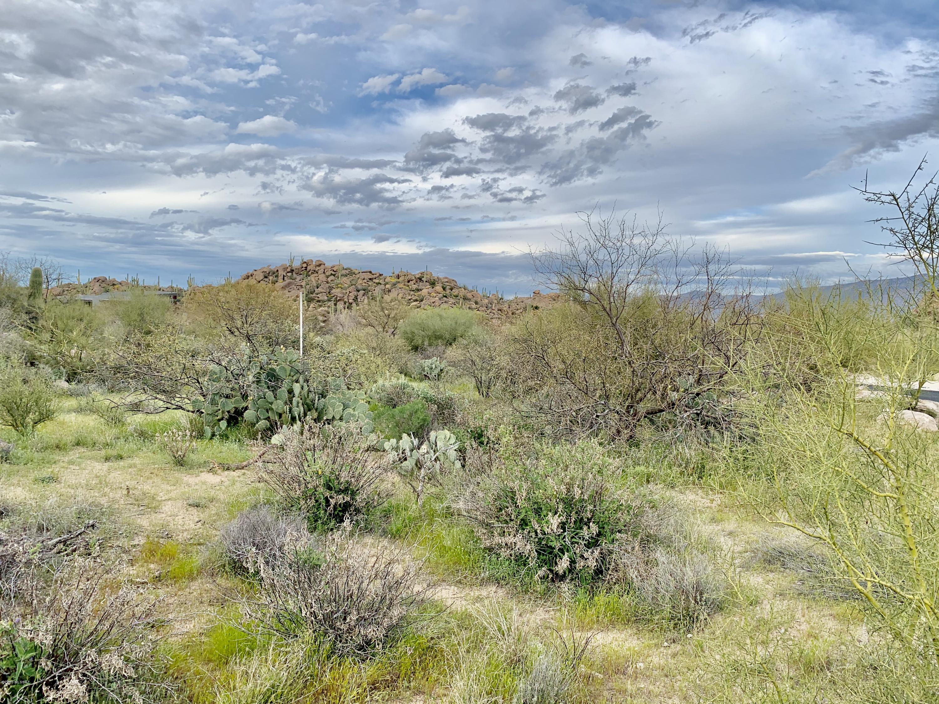 Stone Canyon IV - Land