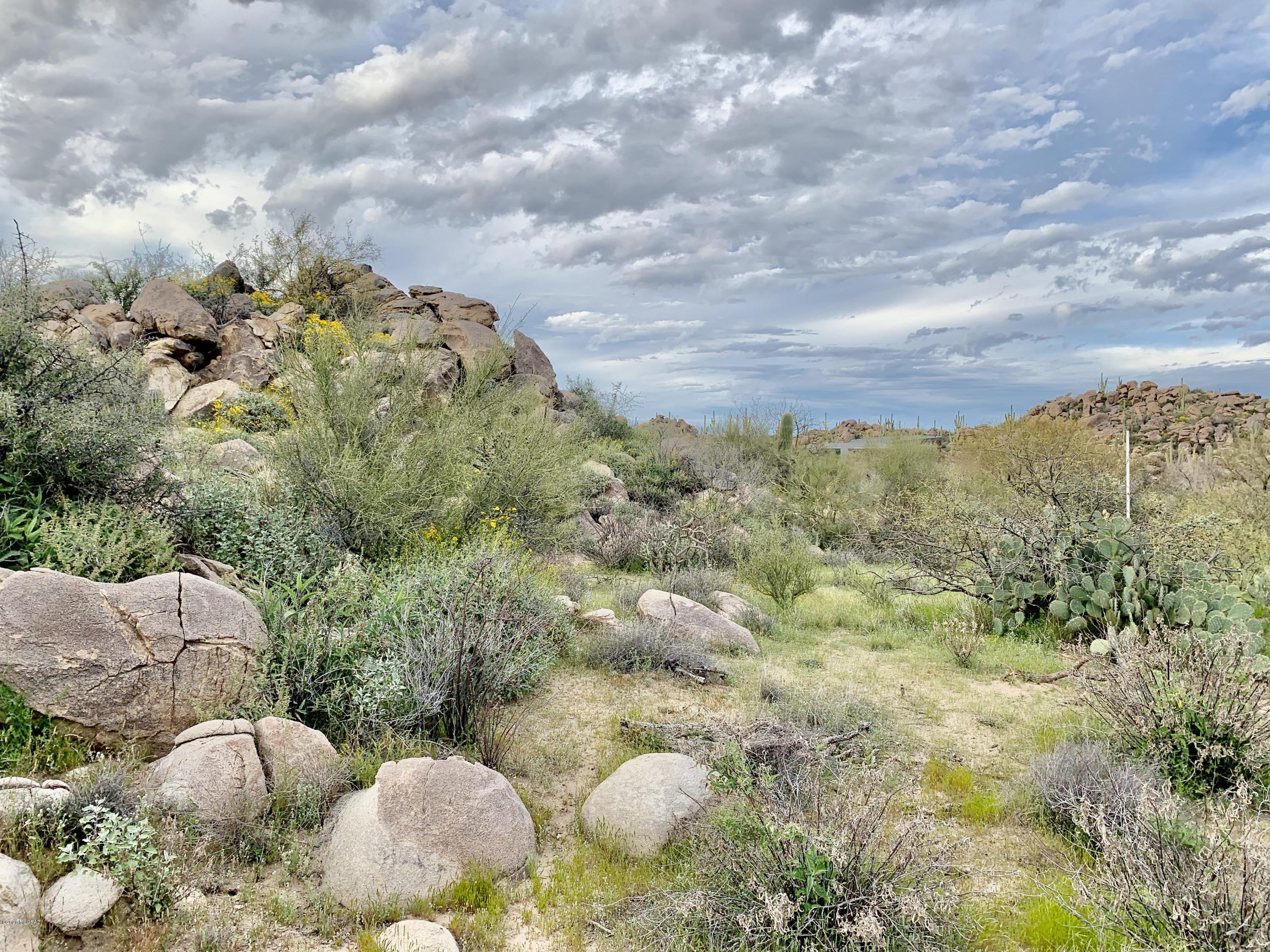 Stone Canyon IV - Land
