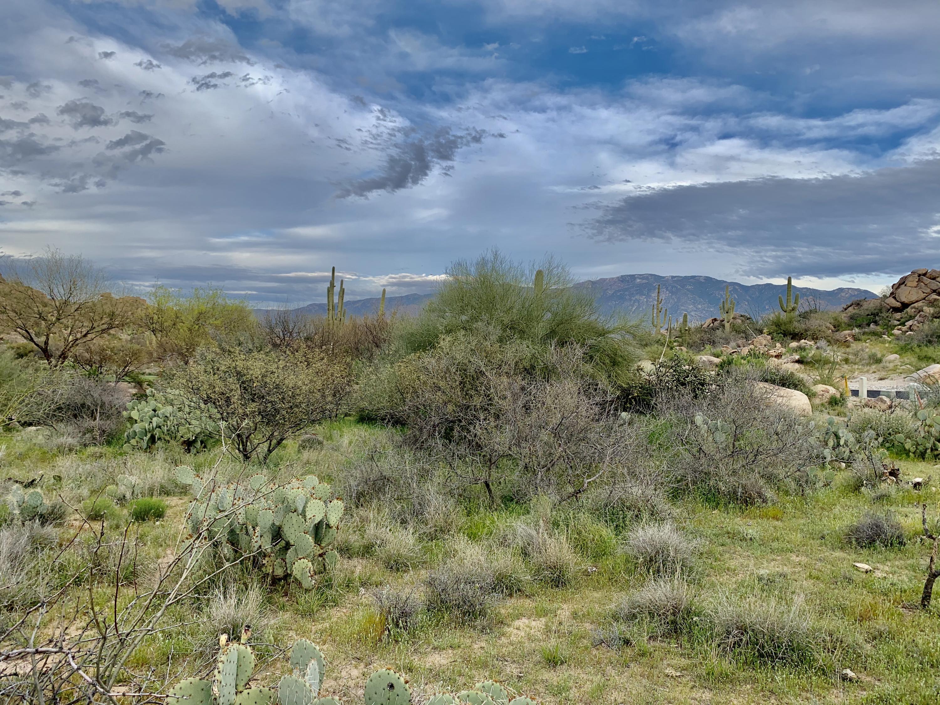 Stone Canyon IV - Land