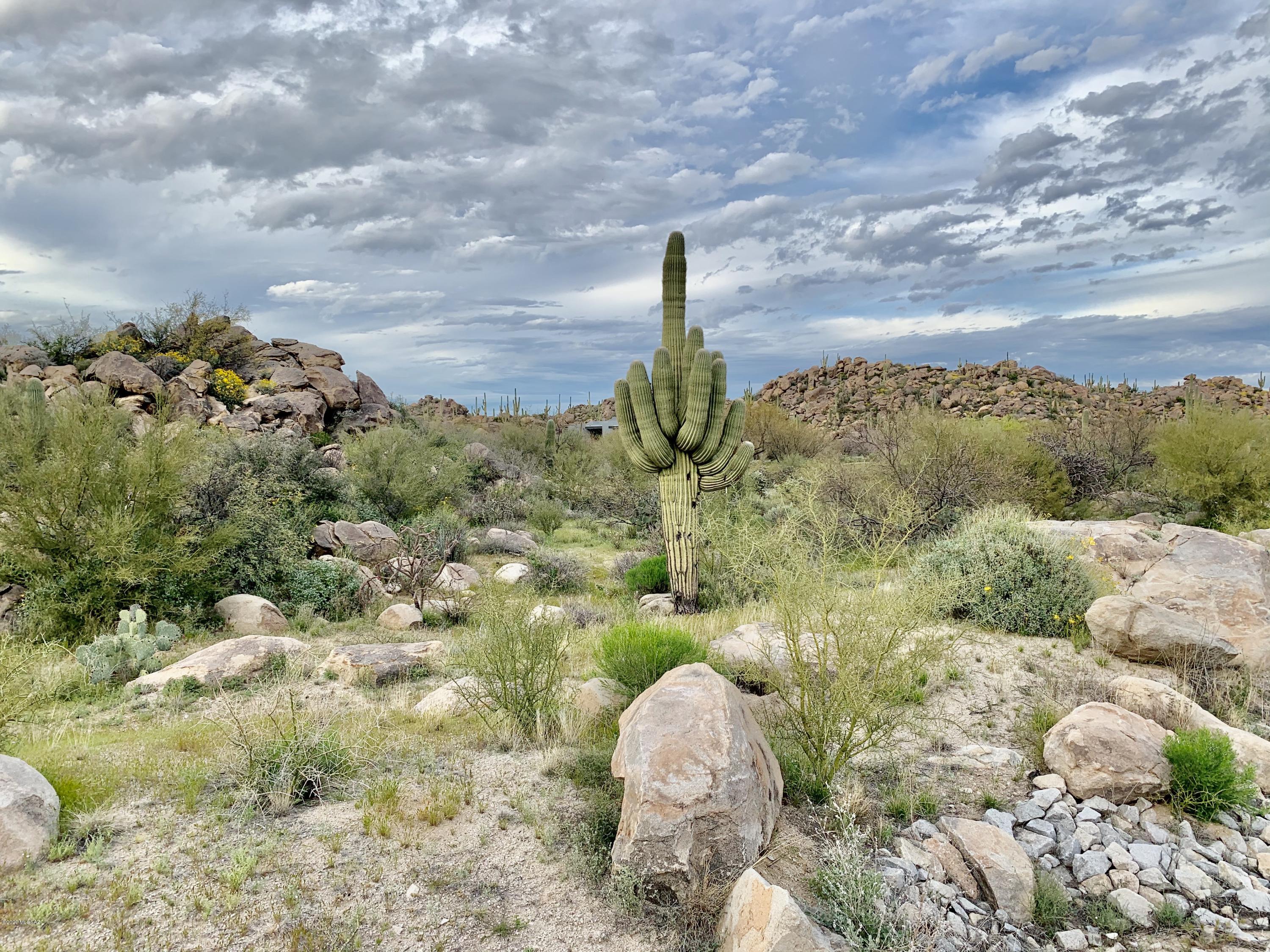 Build your custom dream home nestled privately on this golf course homesite.  Golf, Tortolita and Catalina views  Dessert surroundings of the sought after rock outcropping, saguaros and lush desert.   Belong to one of Arizona's finest golf clubs and enjoy the country club lifestyle along with a climate you can enjoy year round.  Phenomenal amenities such as Swim Tennis and Sports Facility & First-Class Clubhouse.