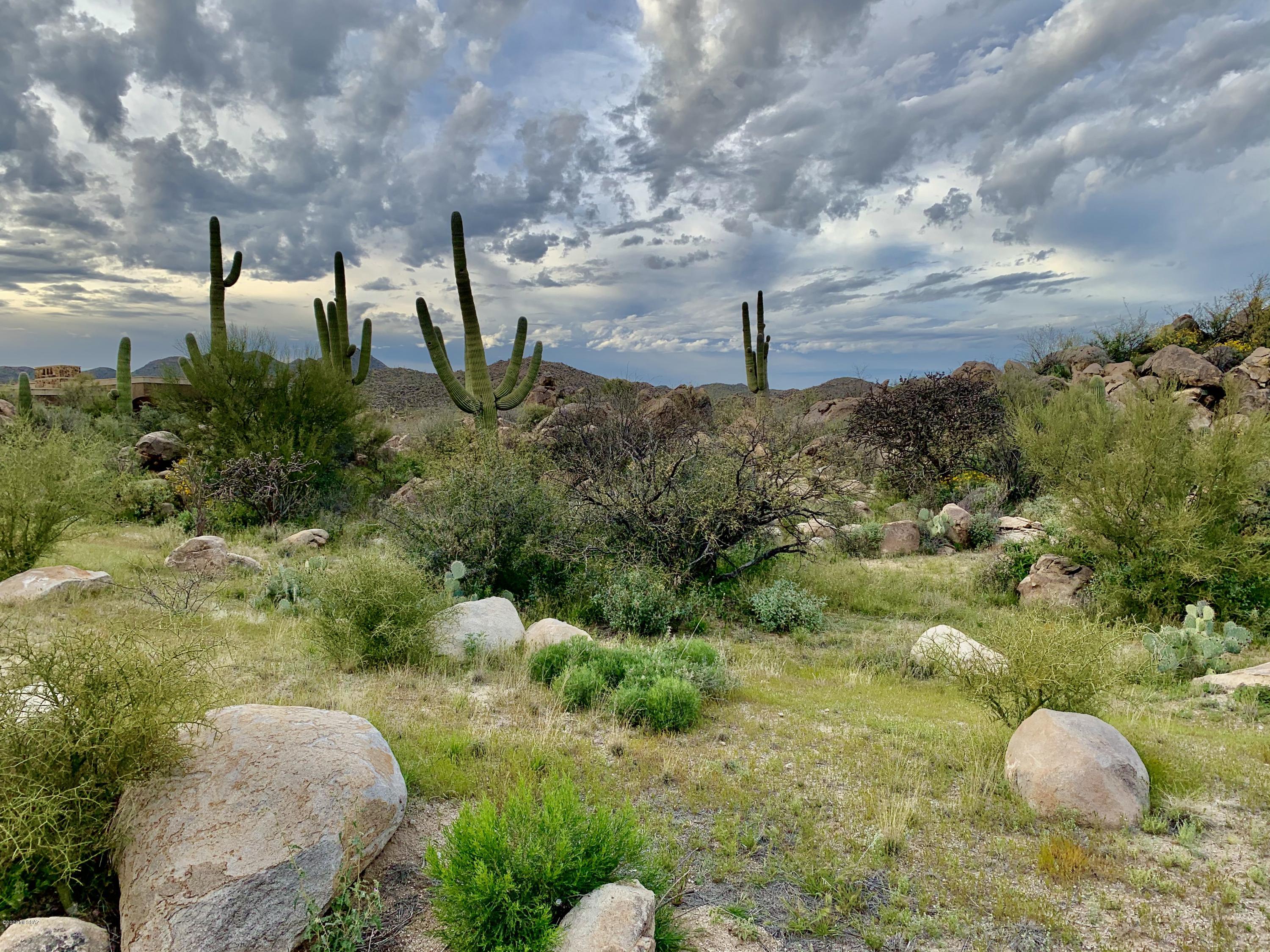 Stone Canyon IV - Land