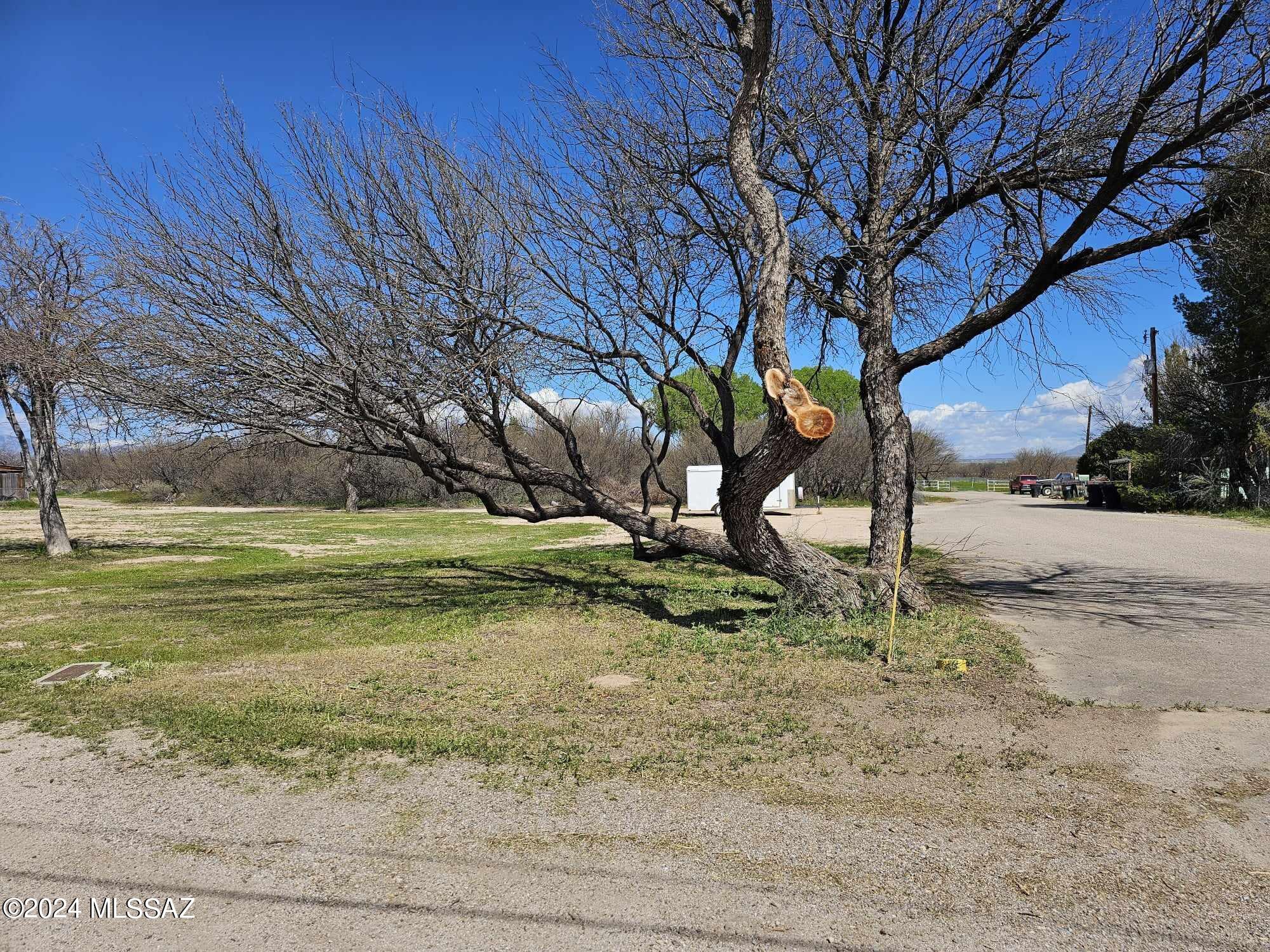 Flat useable corner lot in the outskirts of Benson. This lot has 1 large mesquite tree on the SE corner. All city utilities to the lot line.