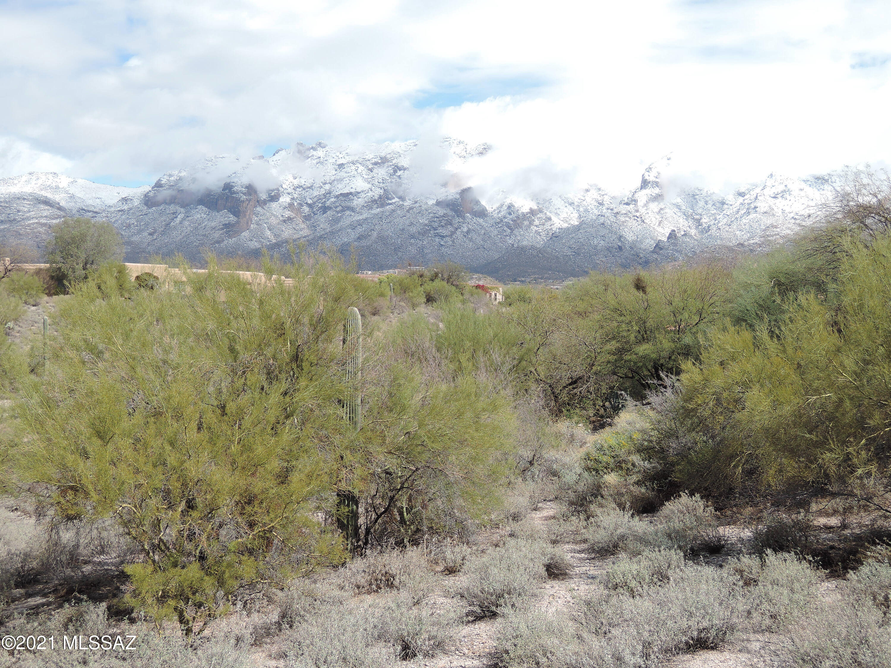La Paloma Estates (36-52) - Land