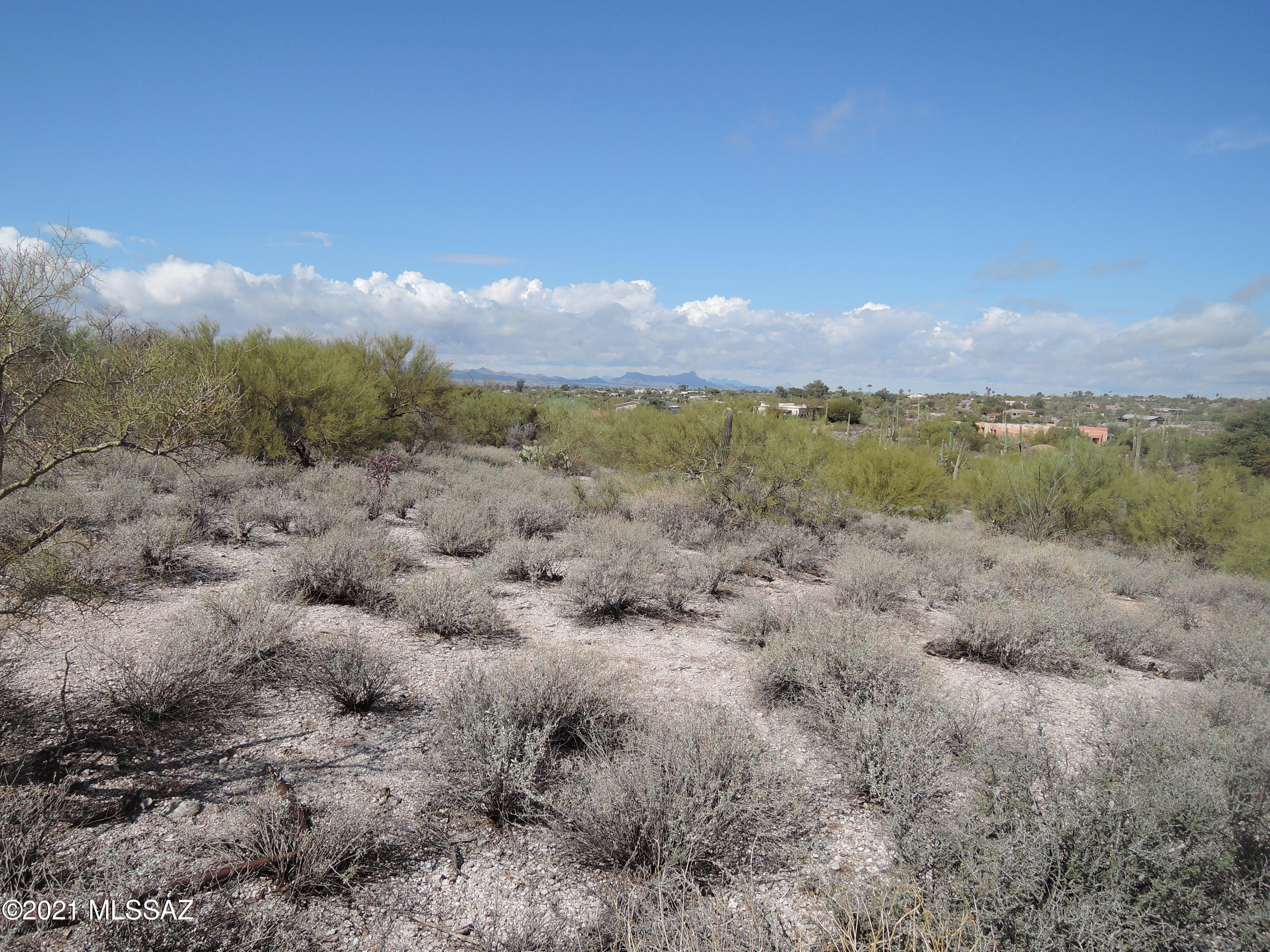 La Paloma Estates (36-52) - Land