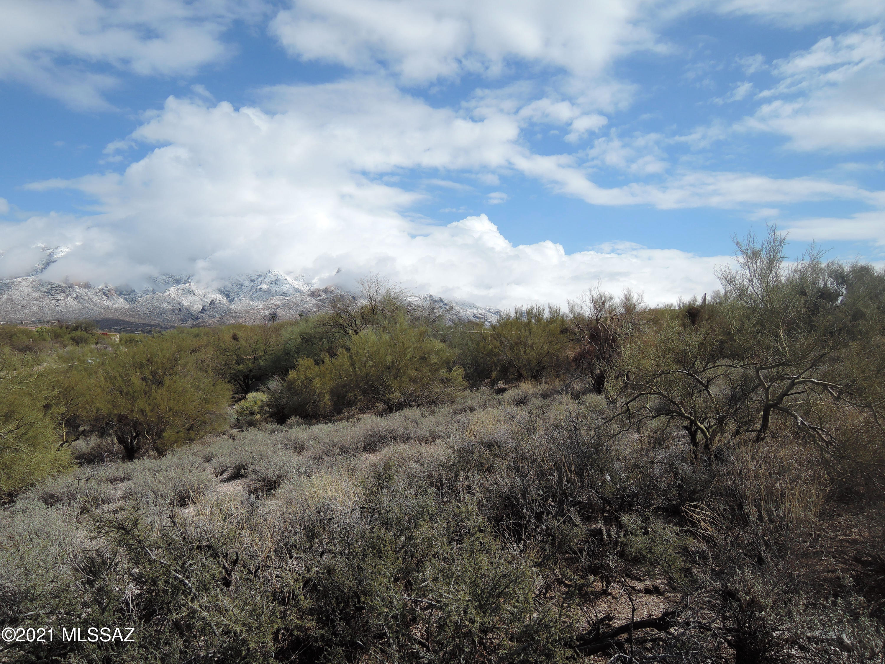 La Paloma Estates (36-52) - Land