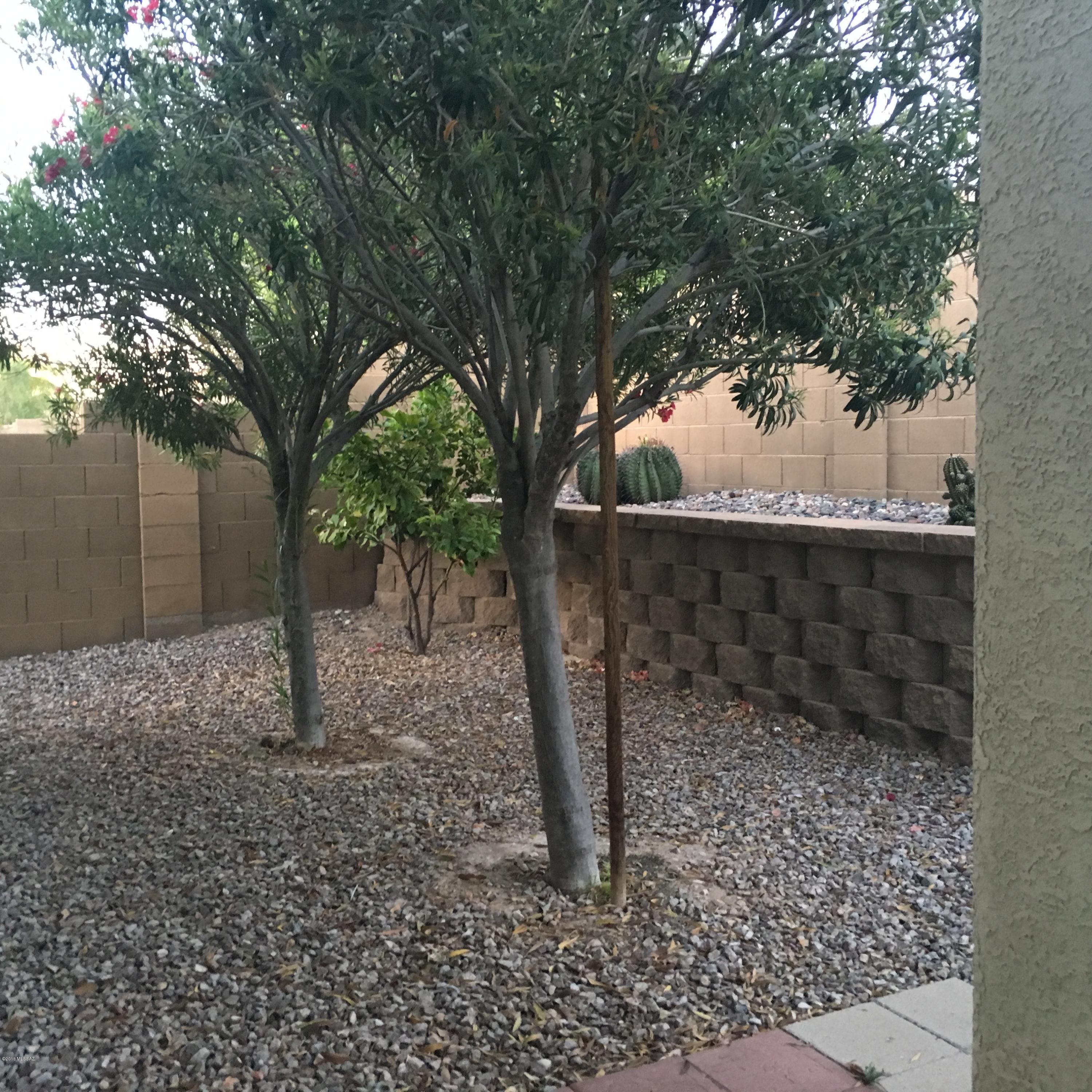 Desert Traditions II (49-120) - Residential