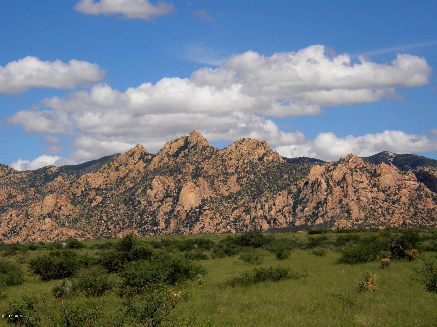$27,500 FOR THIS  INCREDIBLE HOMESITE!! The lot abuts one of two conservation greenbelts giving you lots of privacy. Nestled in the foothills of the Dragoon Mountains overlooking the San Pedro River valley. Sensational 360 degree mountain views with dark night skys & incredible sunsets. Great for horse lovers with numerous places to ride. If you are looking for a lifestyle of privacy & tranquility with over 300 sunny outdoor inviting days a year this is it. High desert living at it's best. Shopping, dining, medical & golf in nearby Benson. Less than an hour to Tucson & Sierra Vista. For more information call broker living in Dragoon Mountain Ranch.