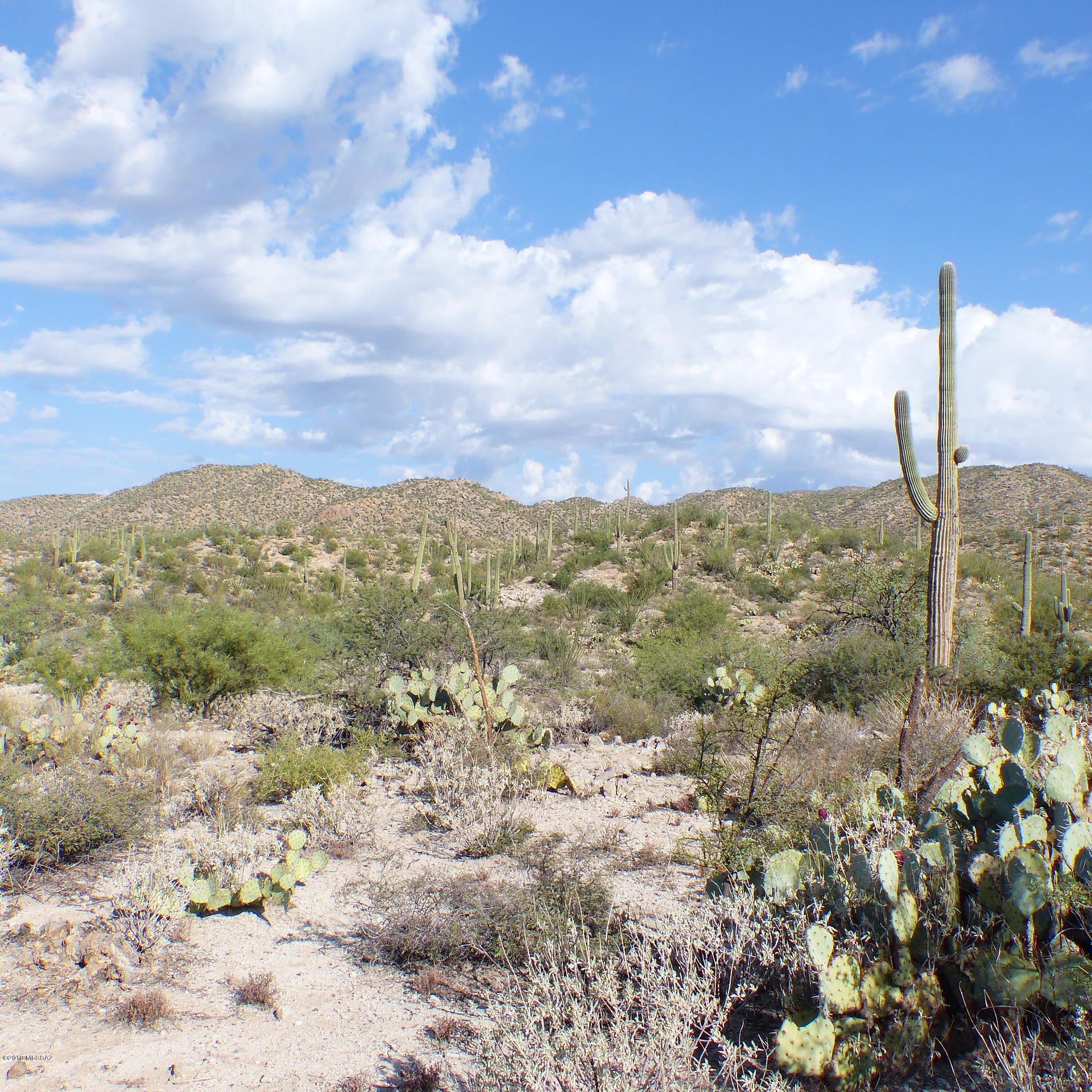 SPECTACULAR VIEWS, Lovely custom homesite.  Opportunity to acquire acreage next door to Stone Canyon Golf Resort.  High elevation offers views of Santa Catalina and Tortilita Mtns. Located in the heart of Oro Valley and yet serene and private.  Annexed to Town of Oro Valley for assured water supplier.  Build or invest.  No HOA. Motivated Seller!