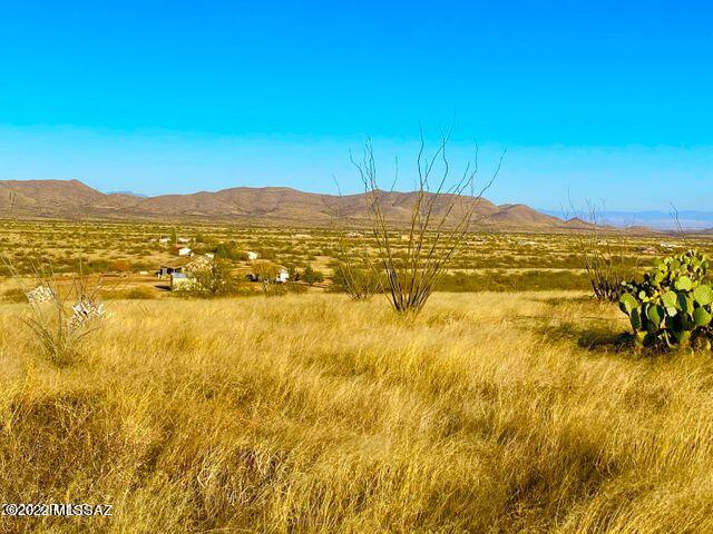 Other/Unknown - Land