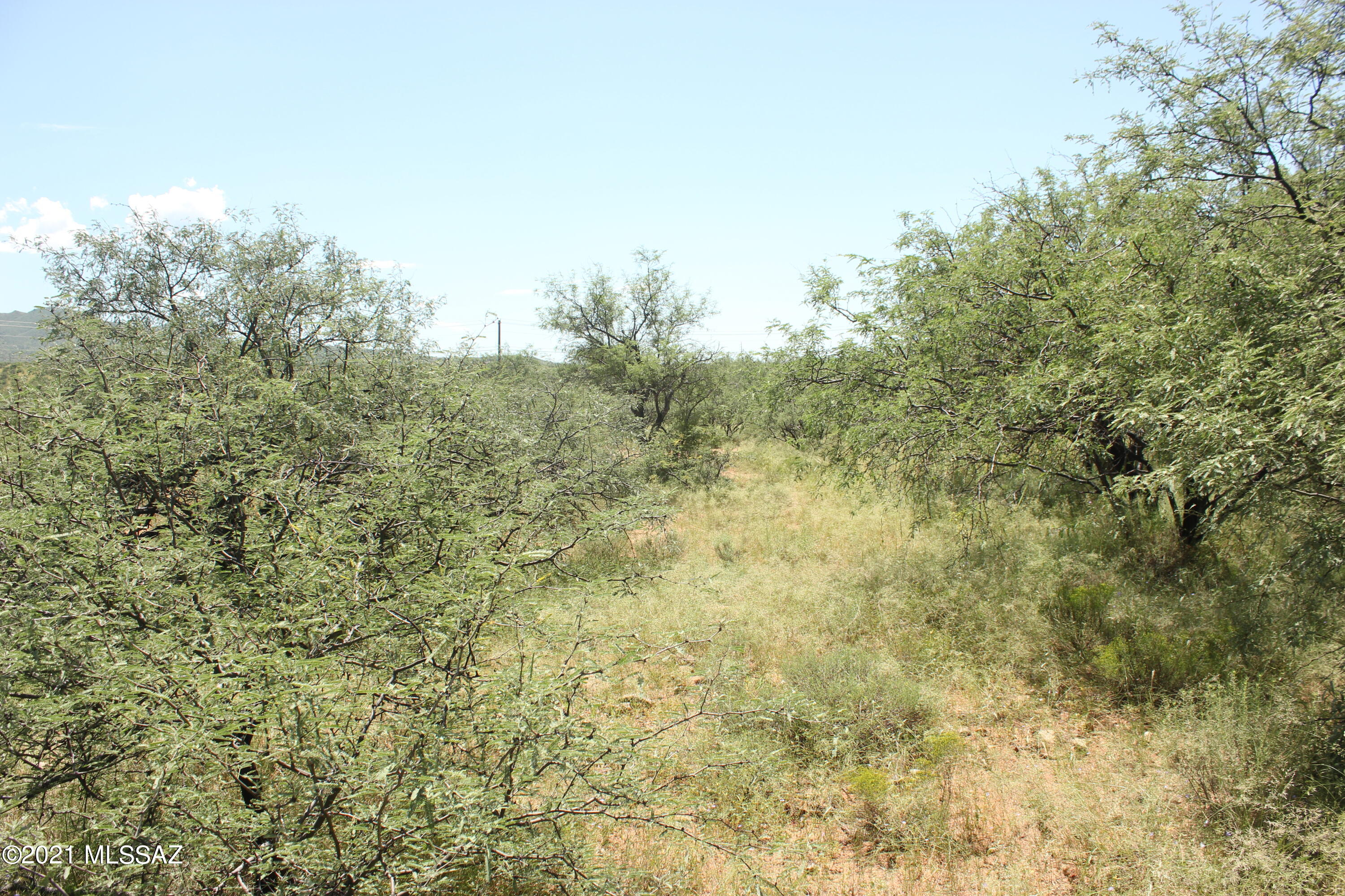Rio Rico Villas 11 - Land