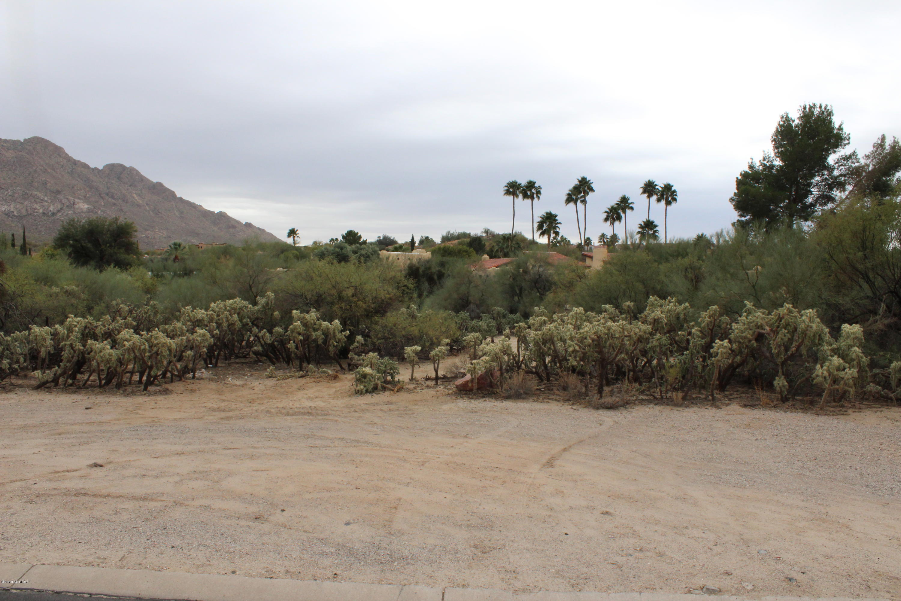 Oro Valley Estates - Land