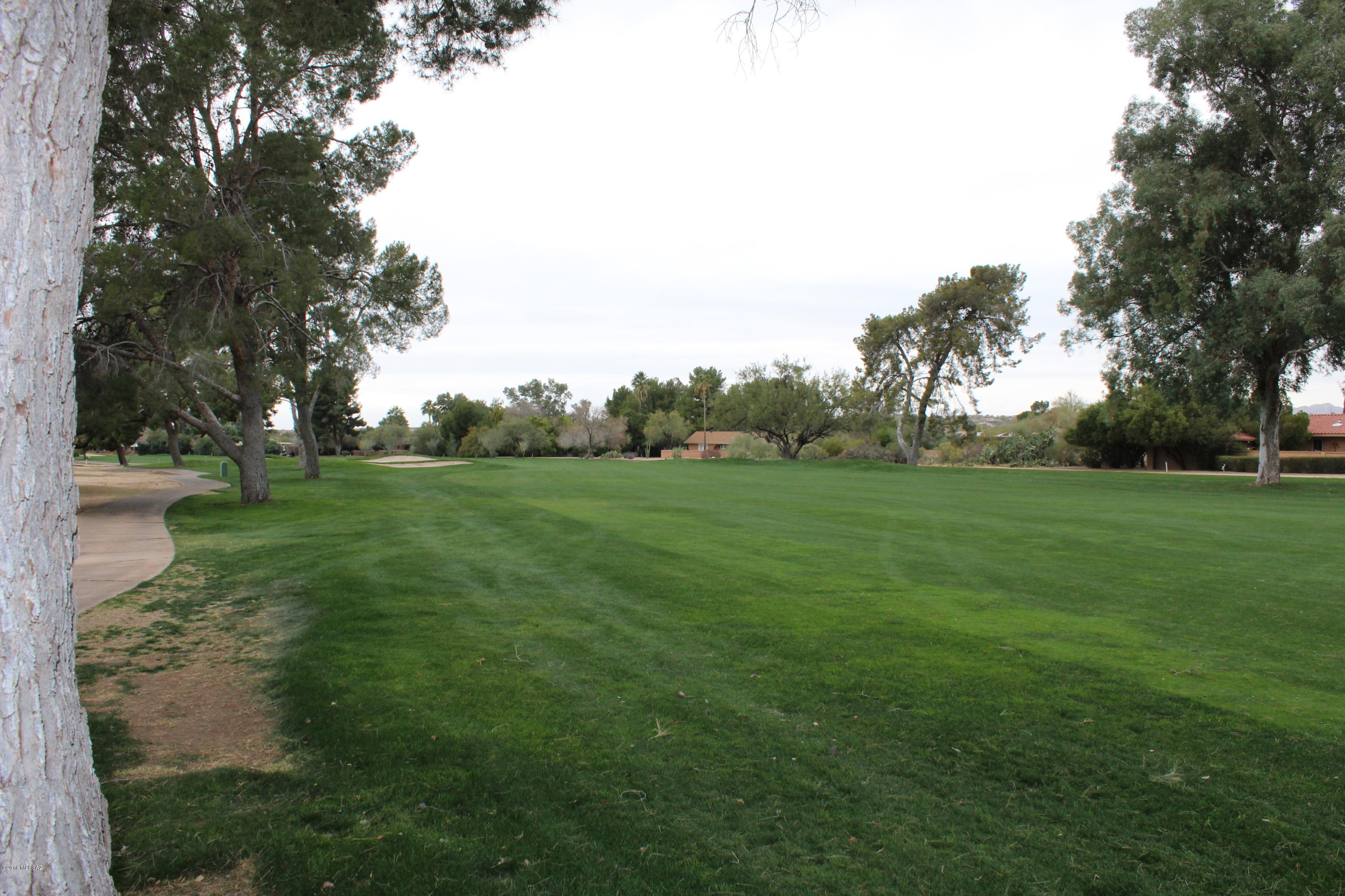 Oro Valley Estates - Land