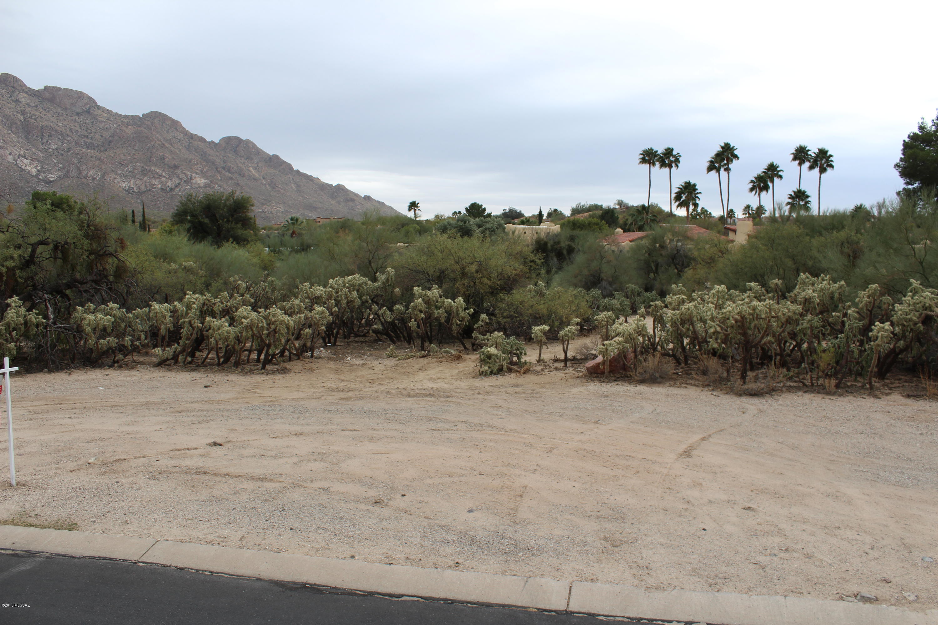 Oro Valley Estates - Land