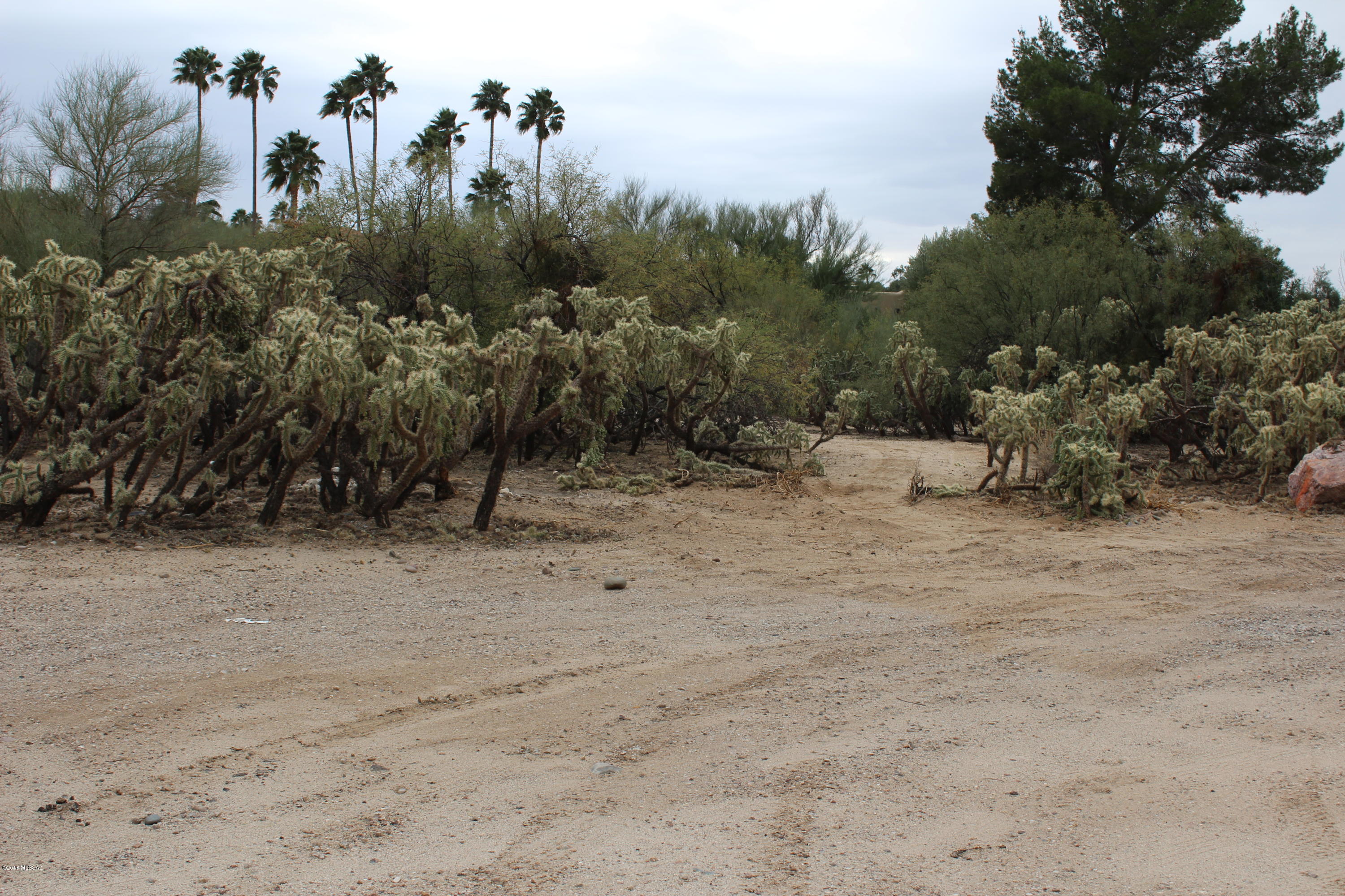 Oro Valley Estates - Land
