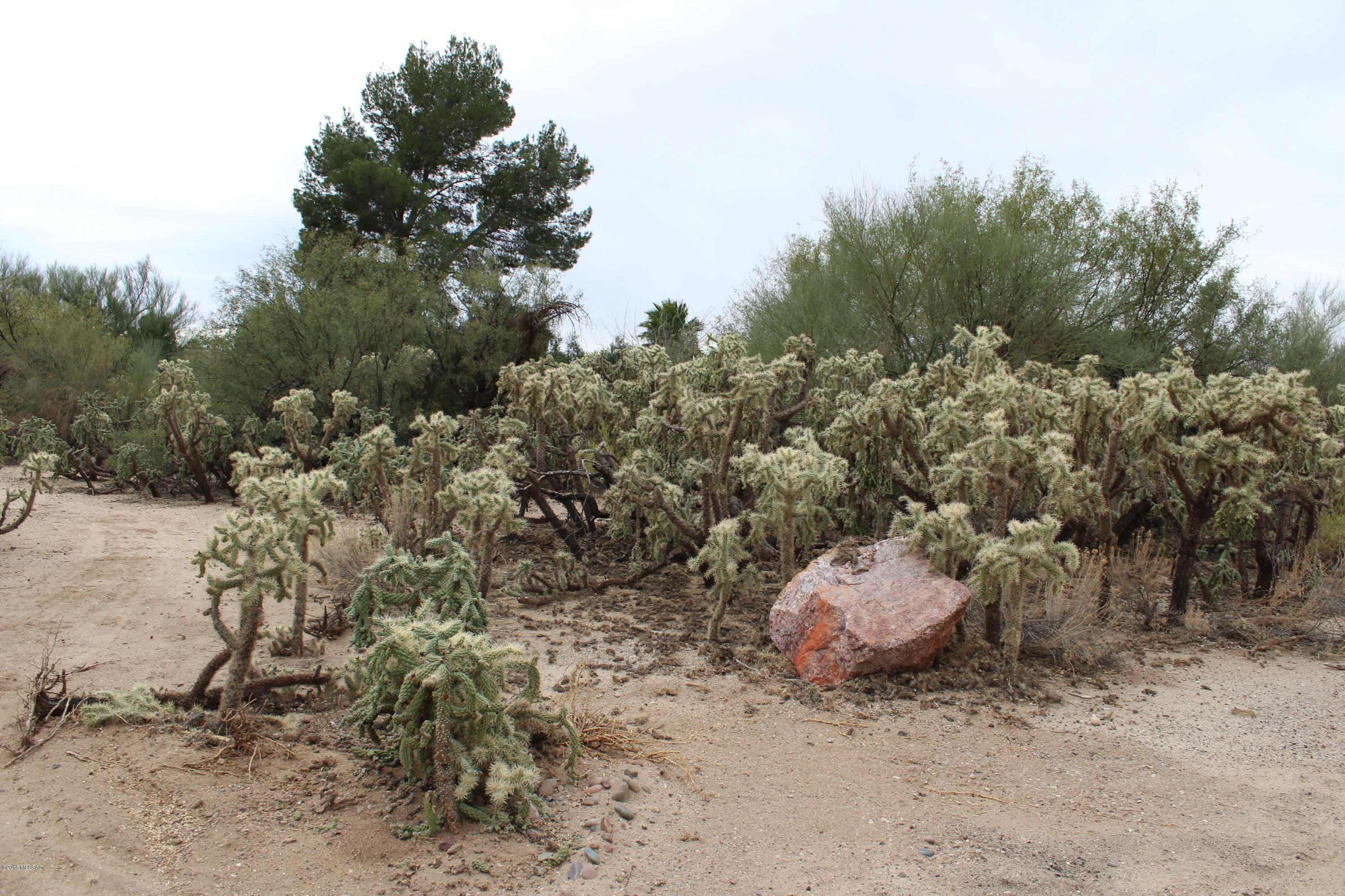 Oro Valley Estates - Land