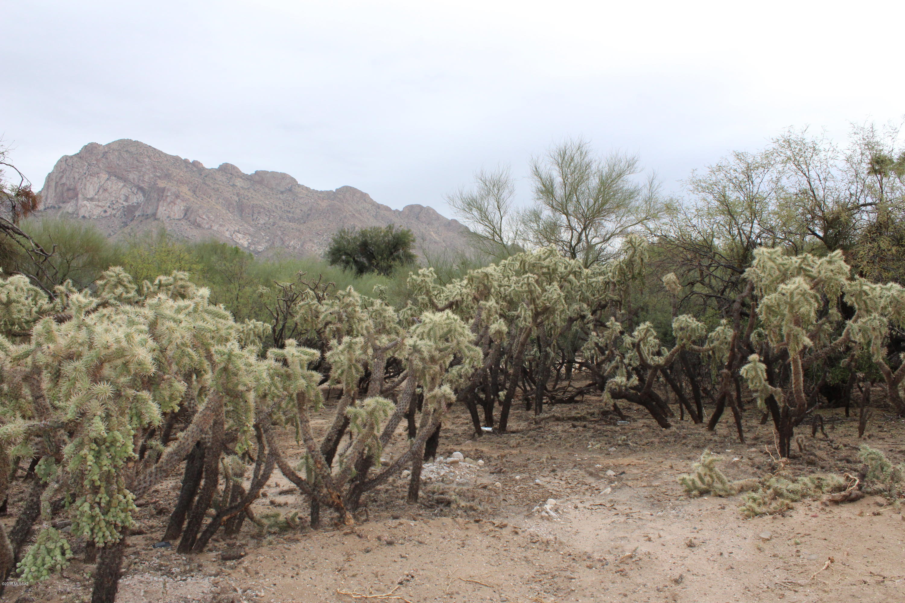 Oro Valley Estates - Land