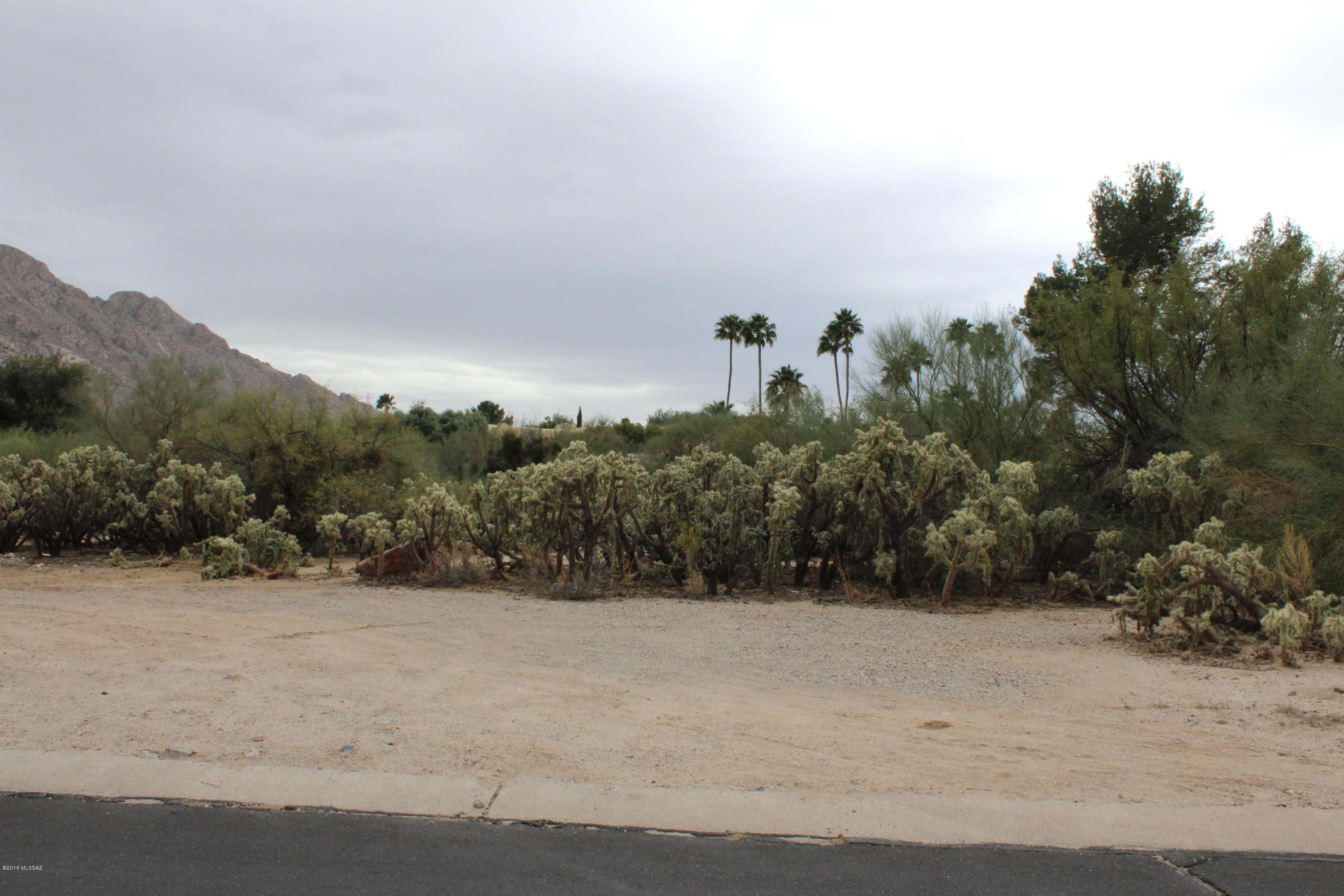 Oro Valley Estates - Land