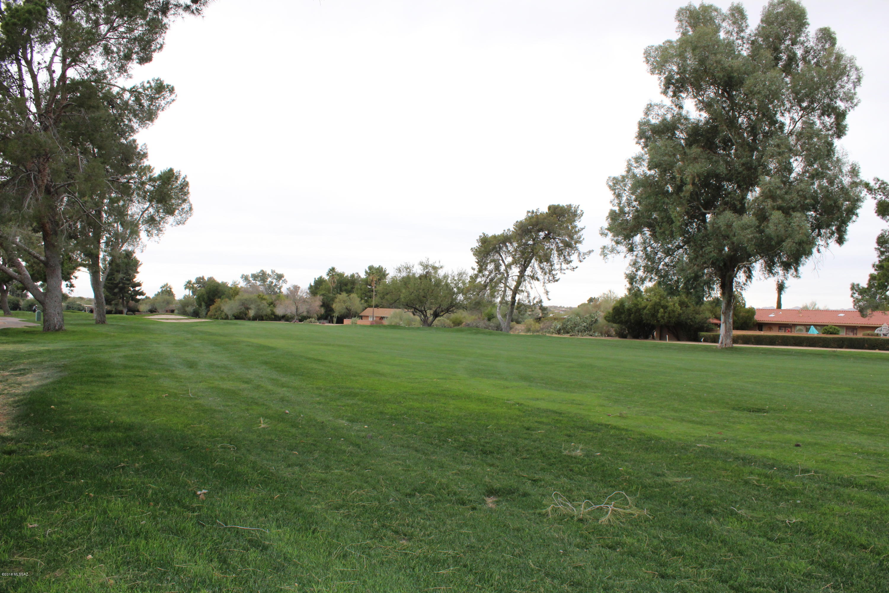 Oro Valley Estates - Land