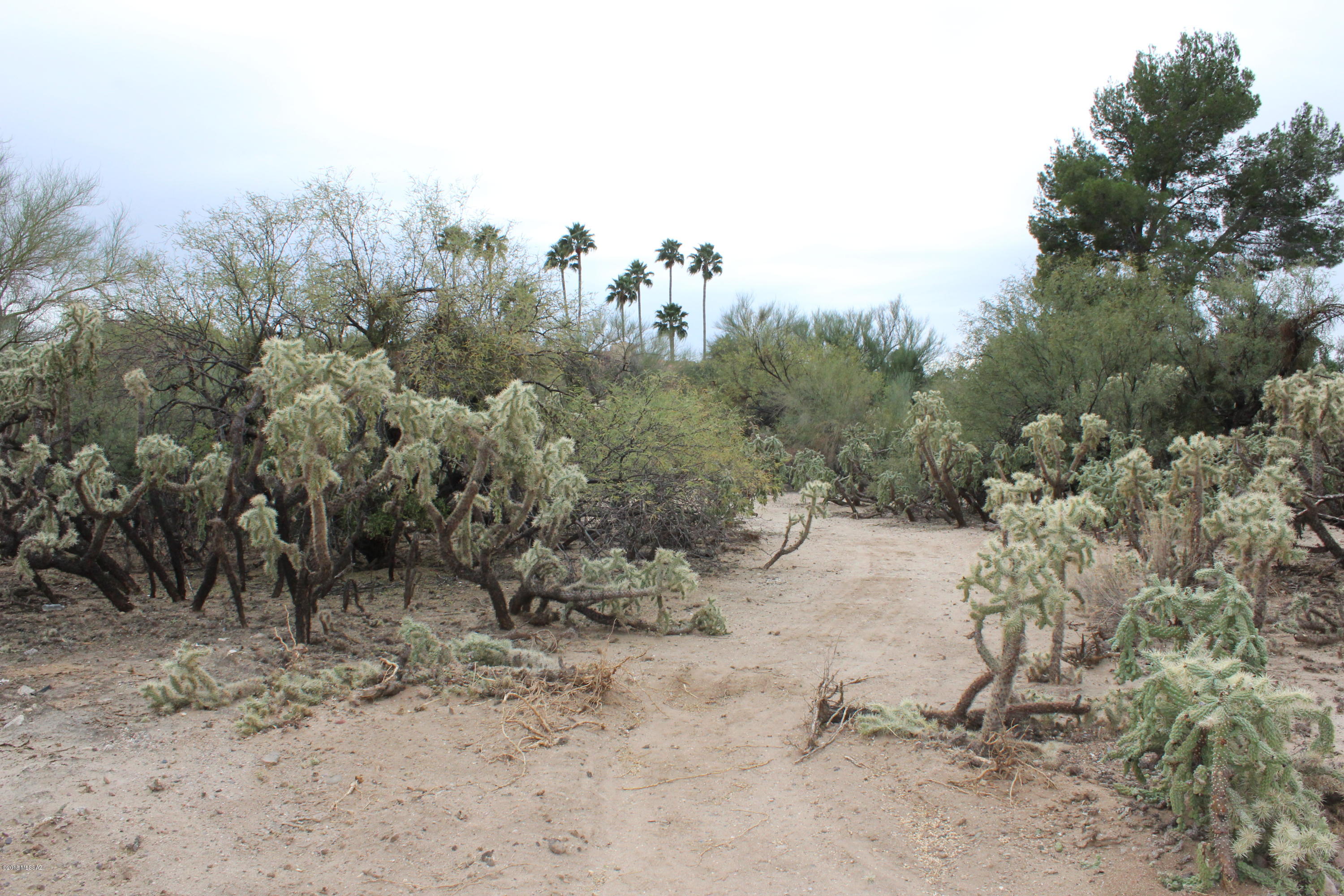 Oro Valley Estates - Land