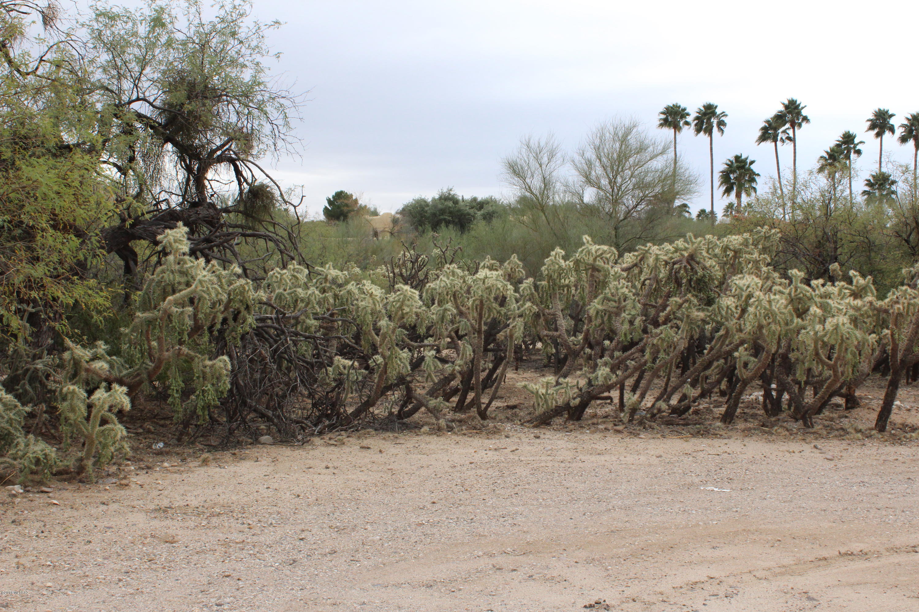 Oro Valley Estates - Land