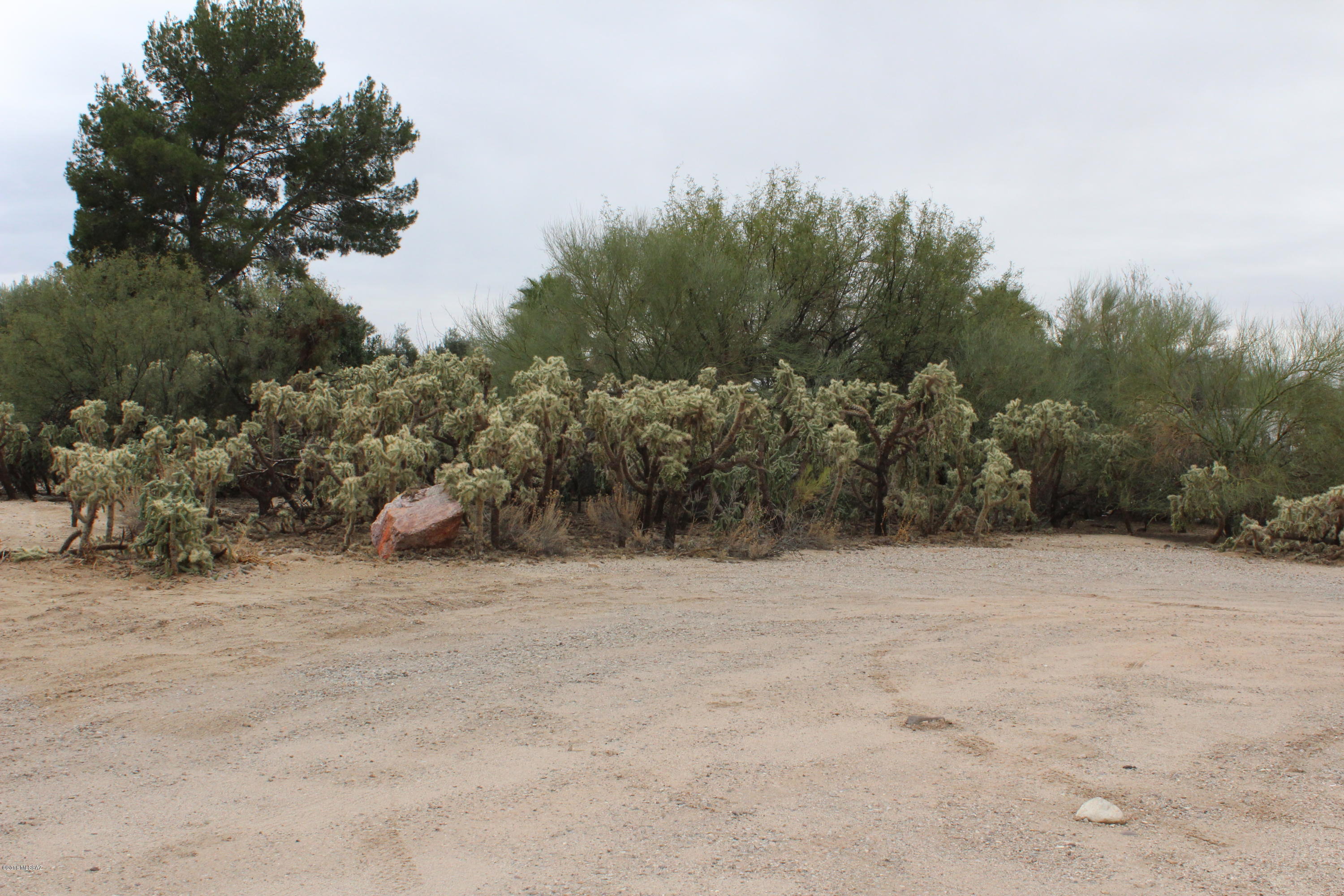 Oro Valley Estates - Land