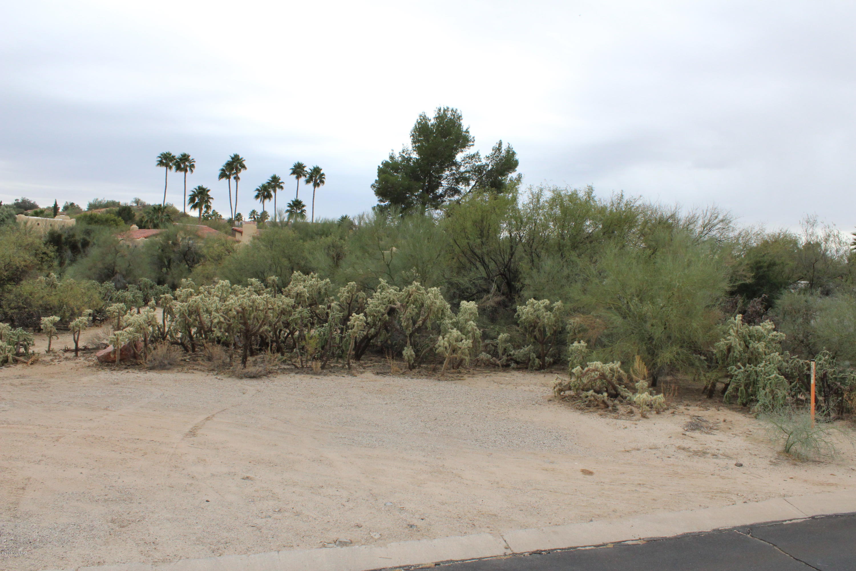 Oro Valley Estates - Land