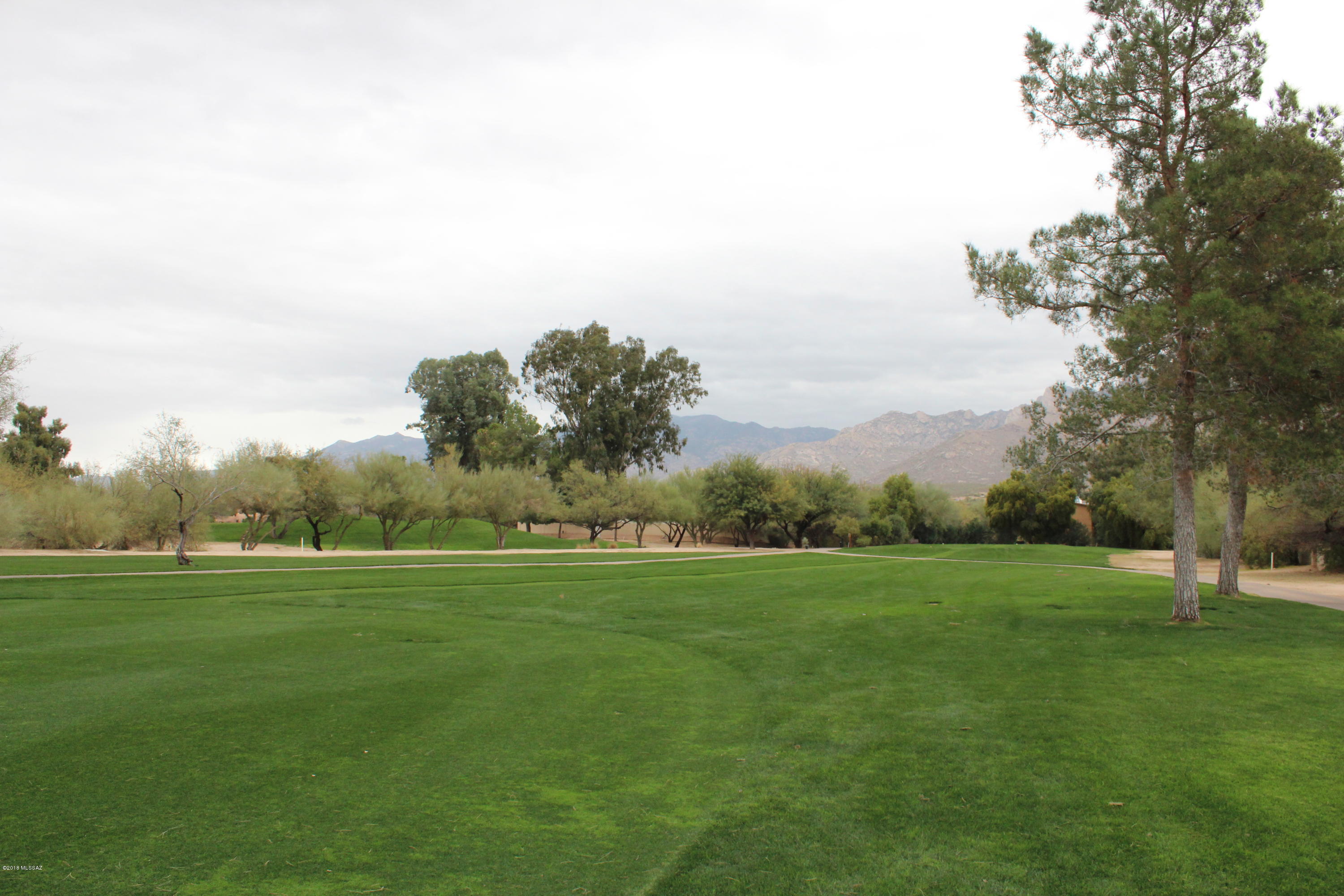 Oro Valley Estates - Land