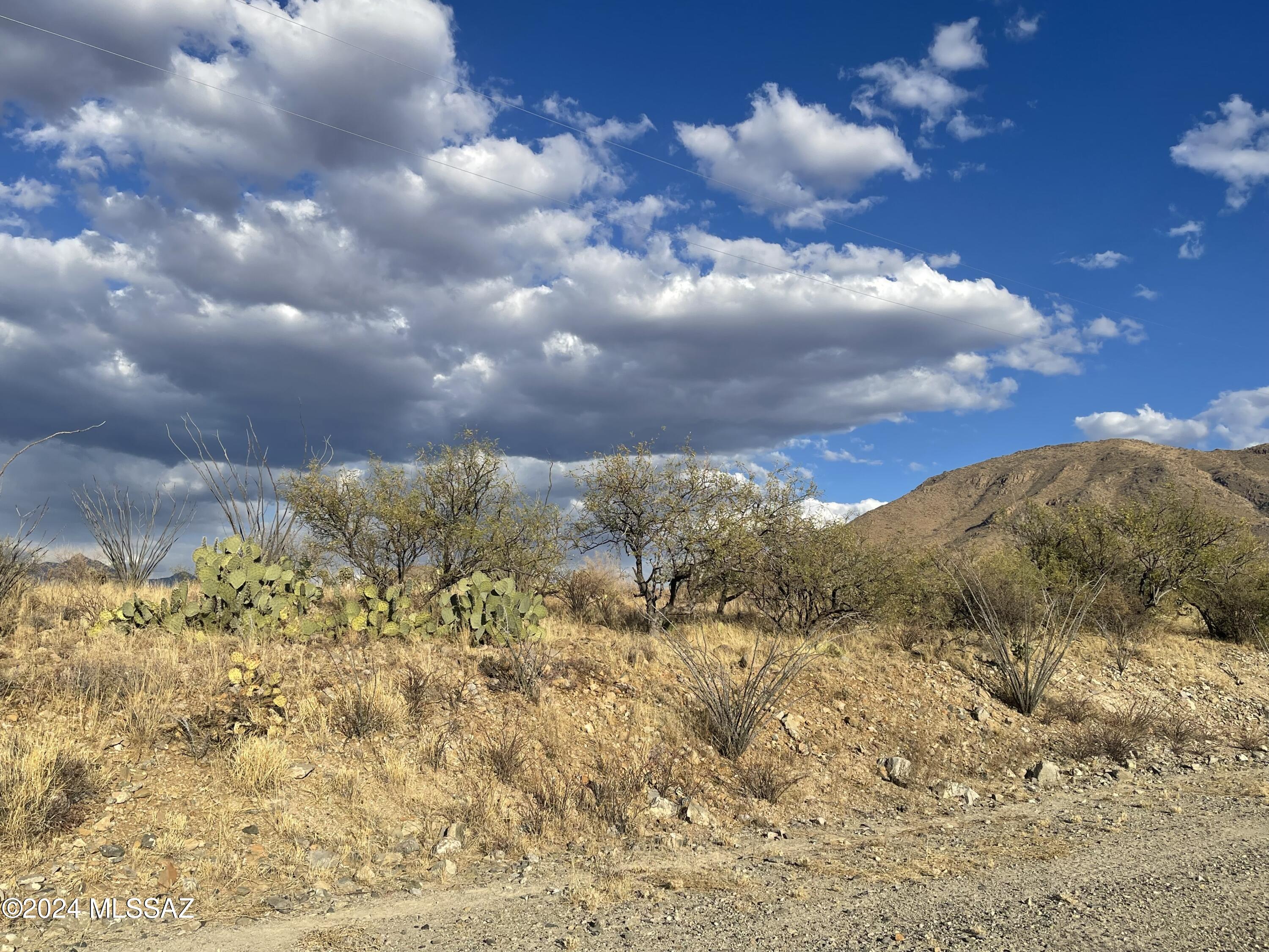 Build your dream home on this serene desert surrounded by breathtaking views of the nearby mountain ranges. This property is 1.09 of an acre.  **Adjoining property is for sale also-1733 Via Caguama-.84 acre parcel.**