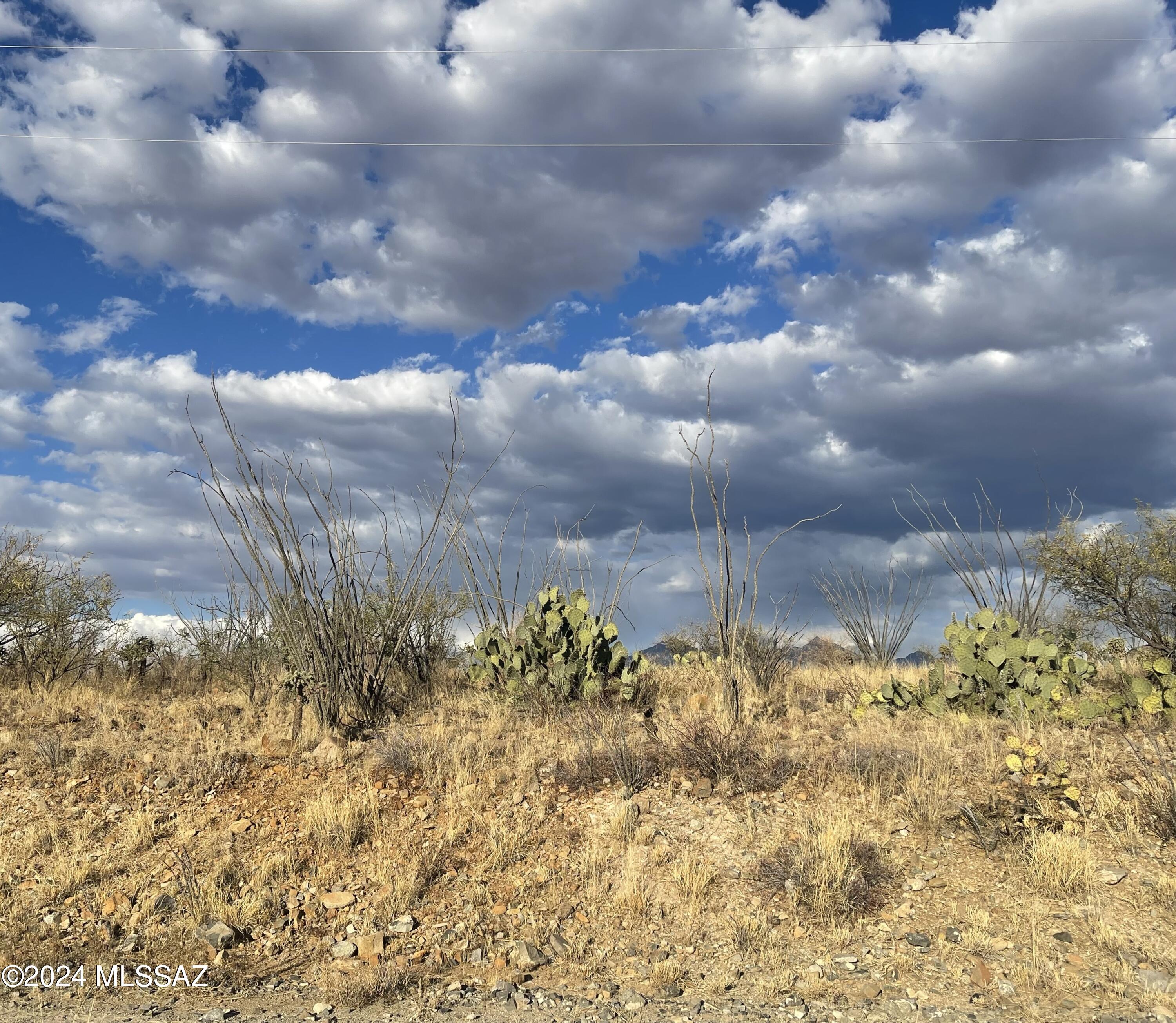Rio Rico Ranchettes 18 - Land