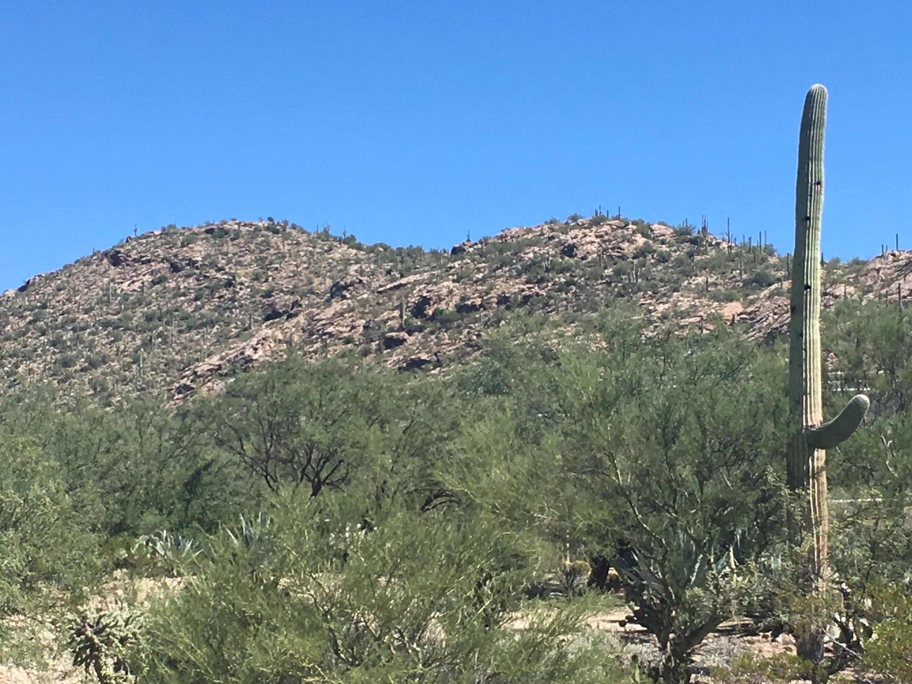 Agua Caliente Estates (1-82) - Land