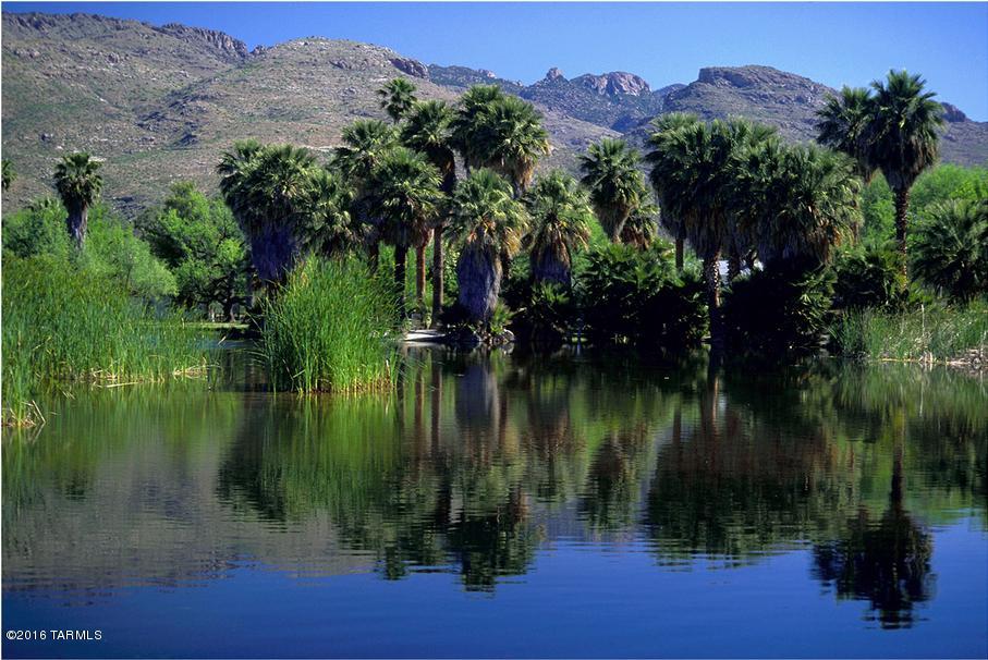 Agua Caliente Estates (1-82) - Land
