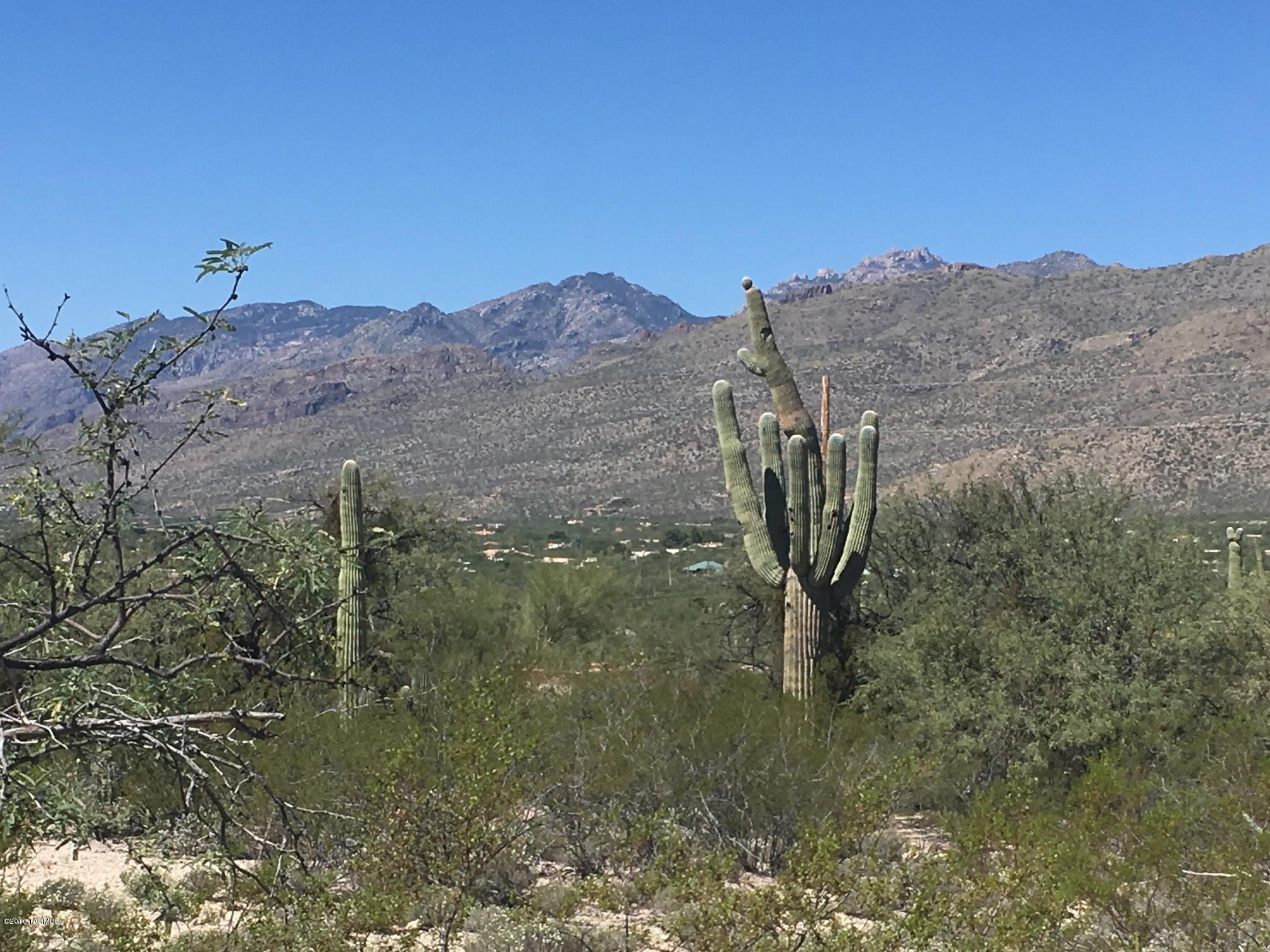 Agua Caliente Estates (1-82) - Land
